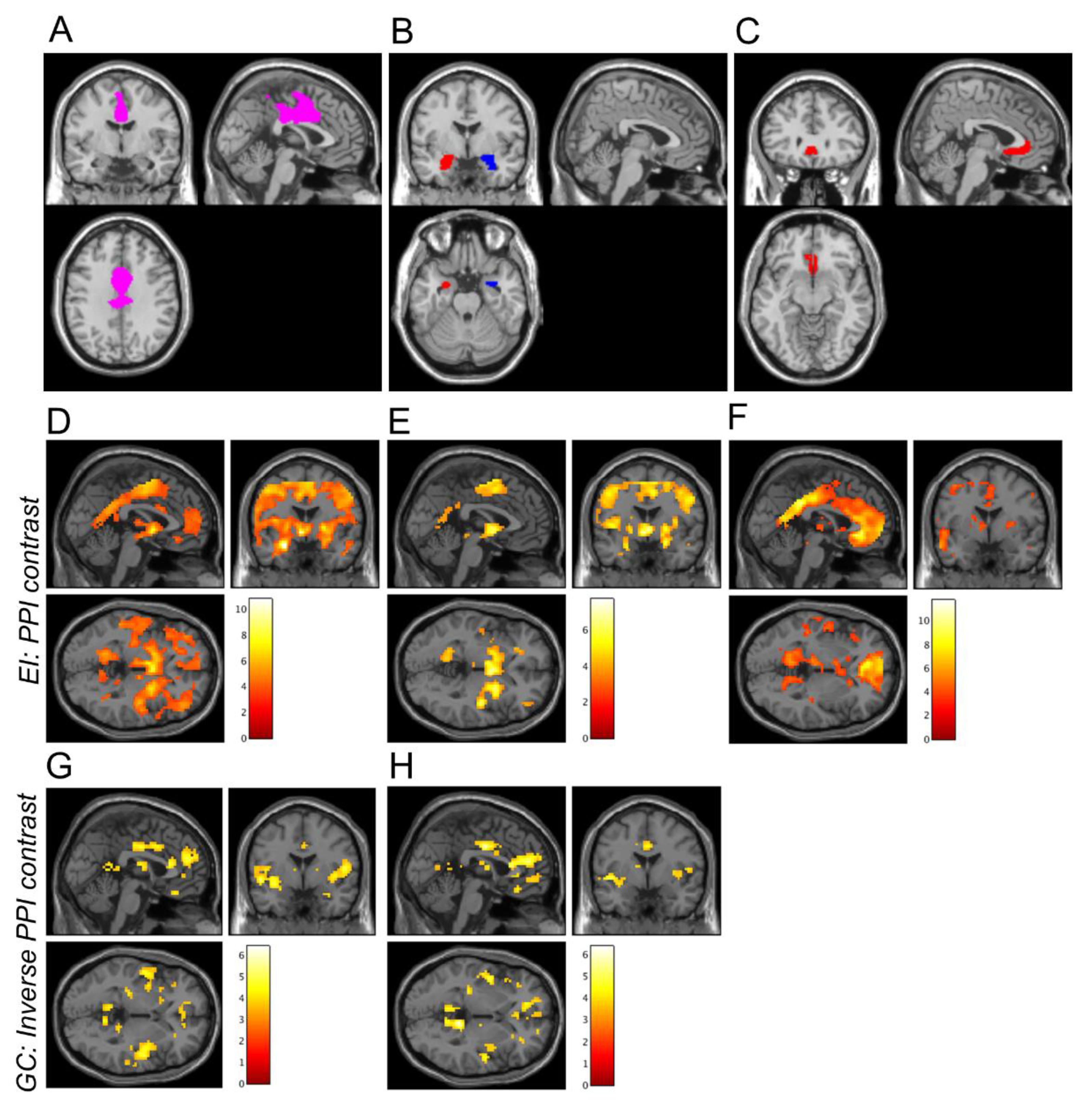 Brainsci 09 00089 g001