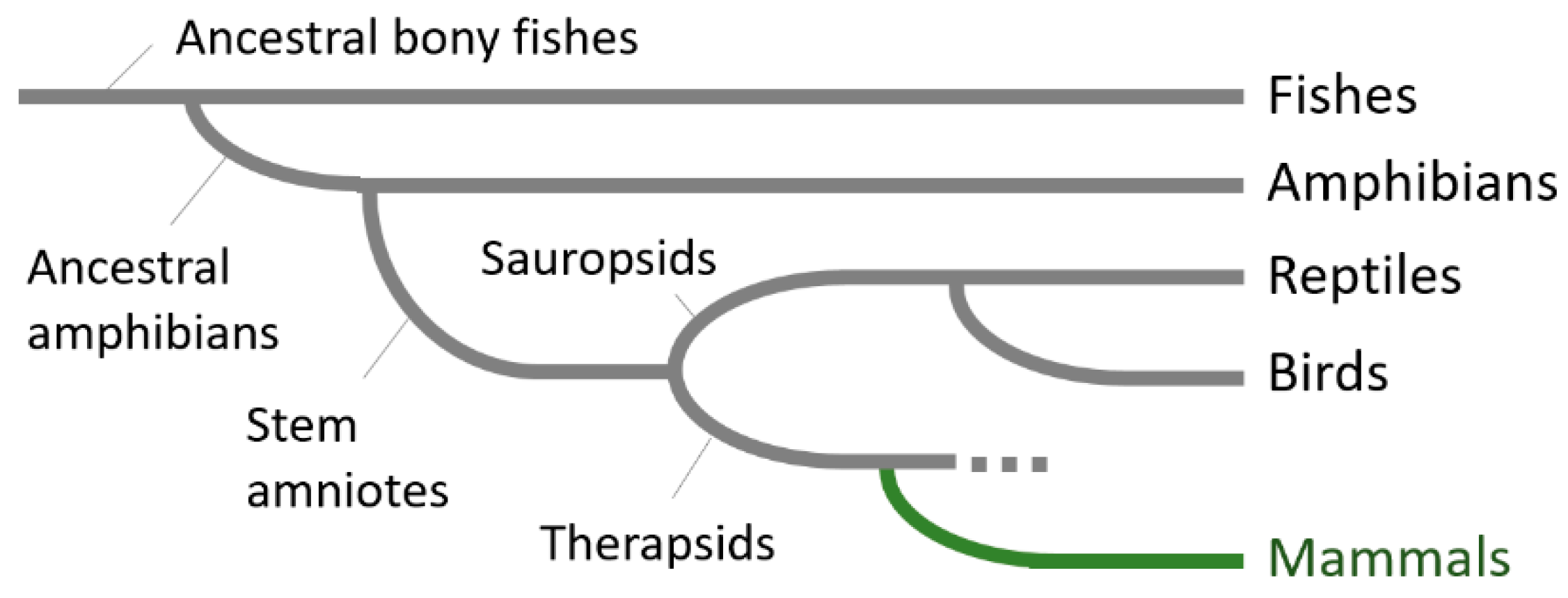 Brainsci 09 00090 g001