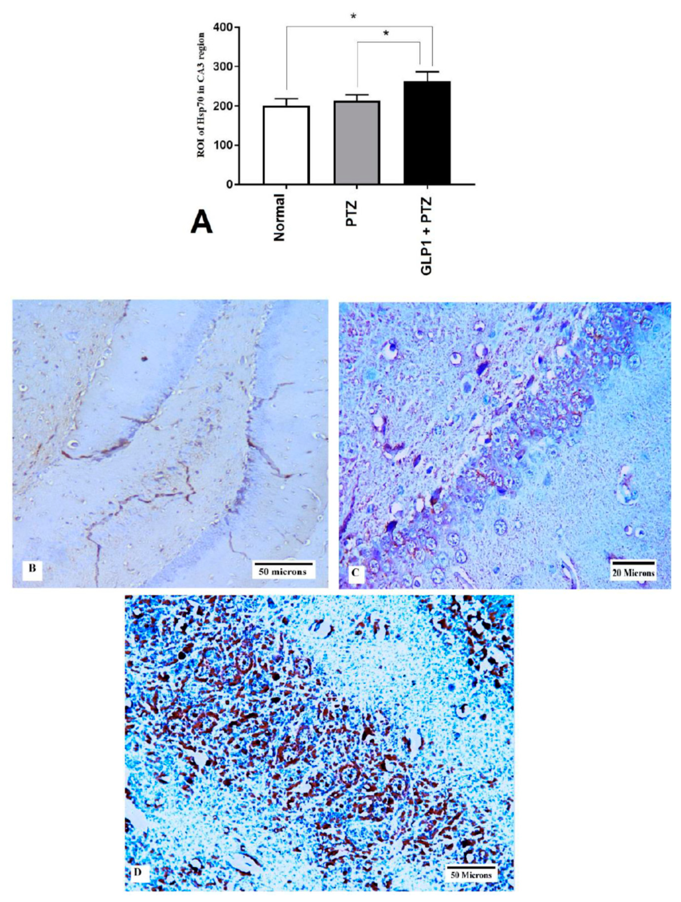Brainsci 09 00108 g005 Brainsci 09 00108 g005