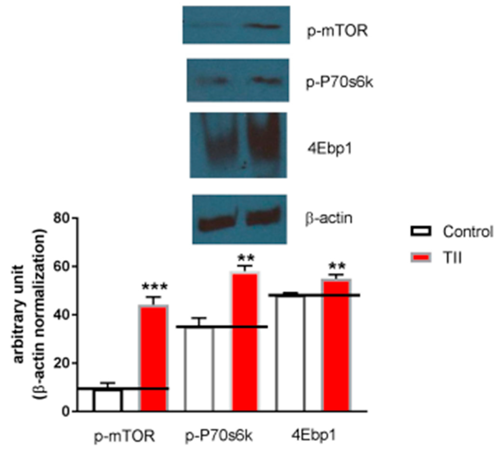 Brainsci 09 00111 g008 550