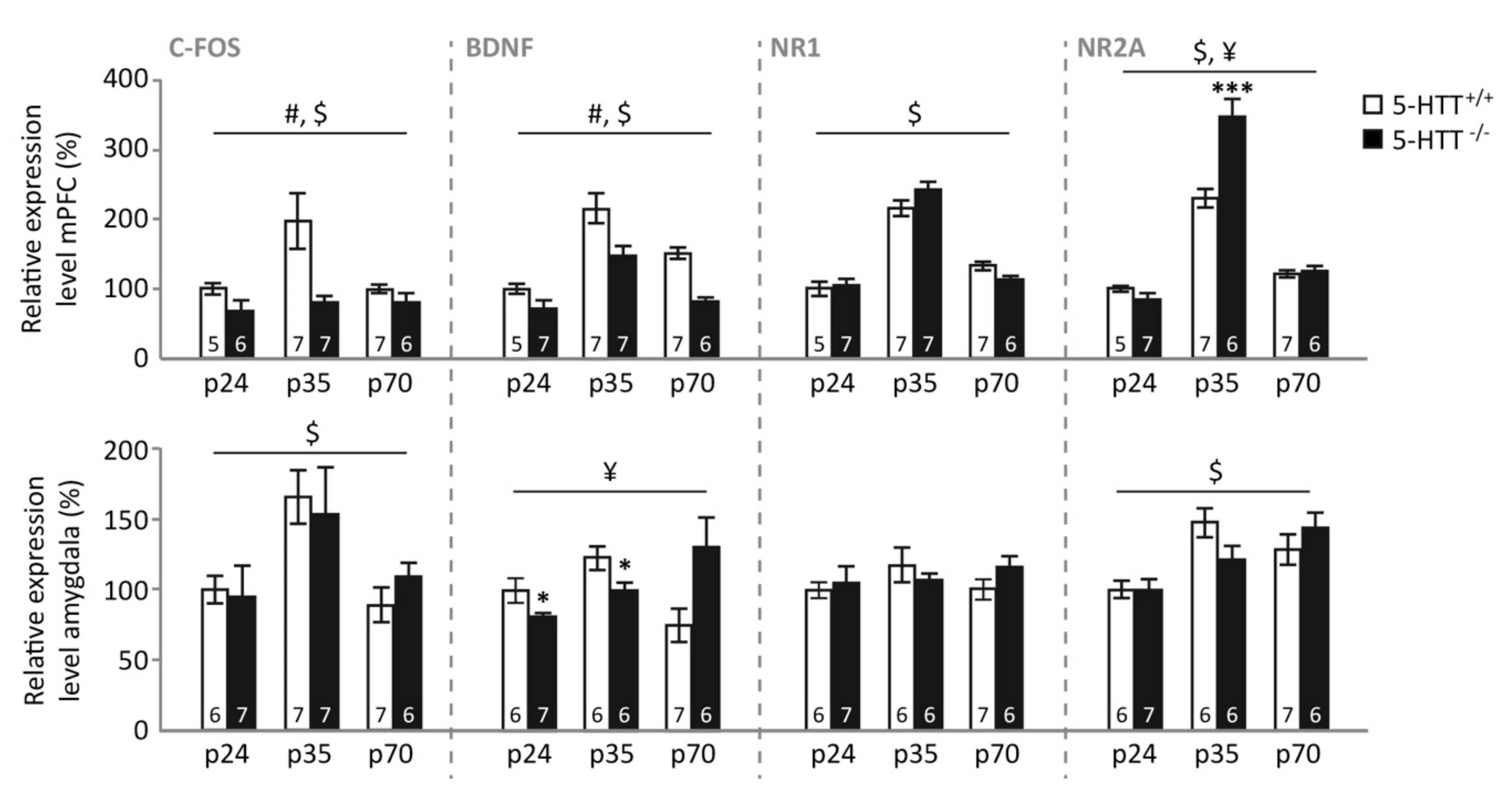 Brainsci 09 00118 g003
