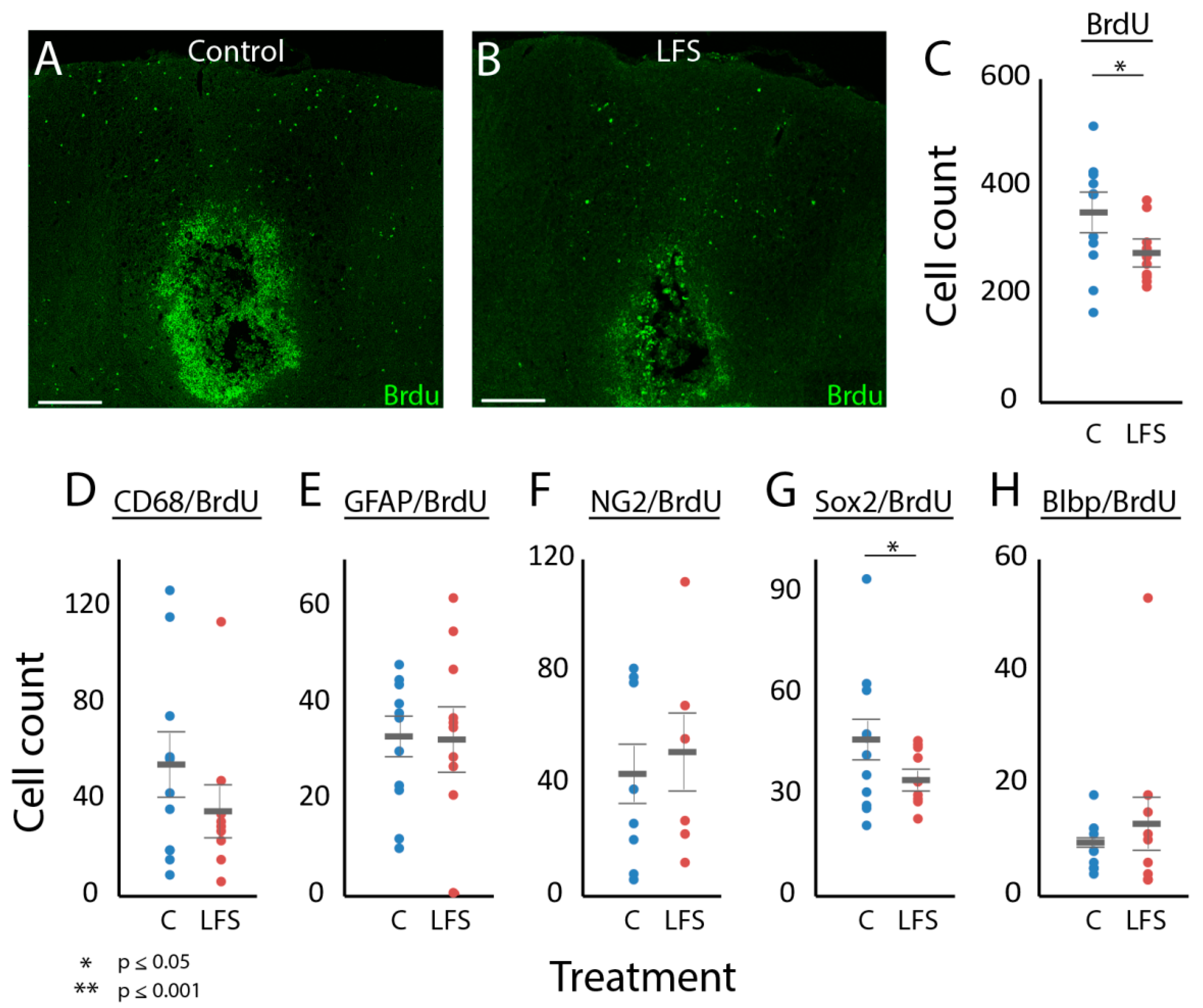 Brainsci 09 00124 g004