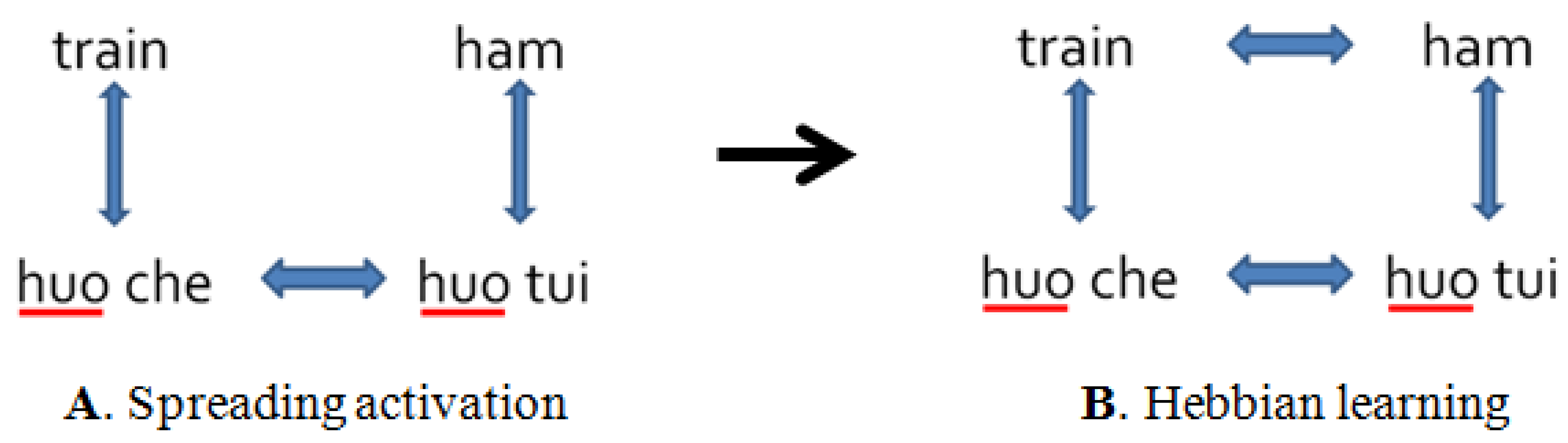 Brainsci 09 00126 g001