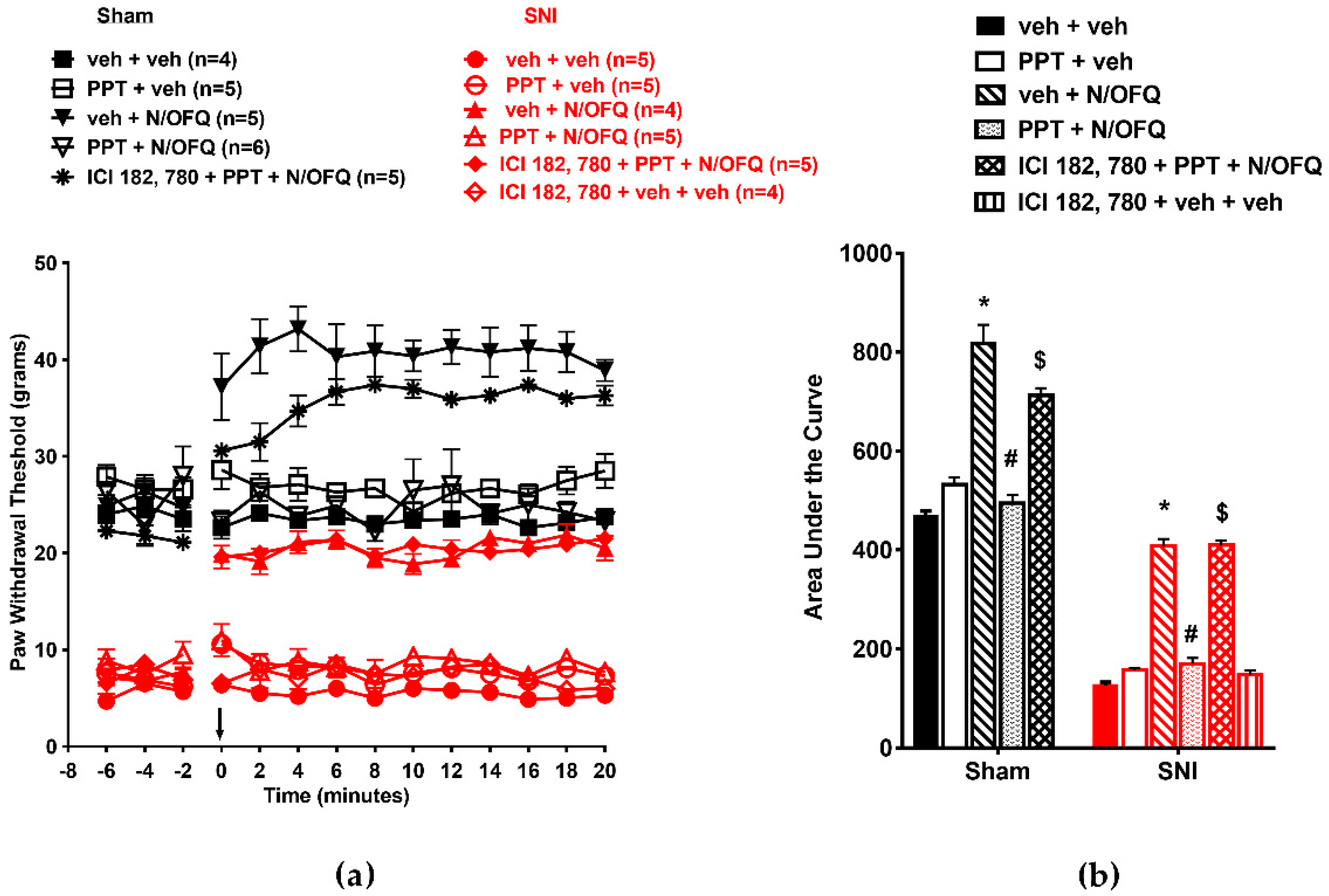 Brainsci 09 00147 g004 Brainsci 09 00147 g004