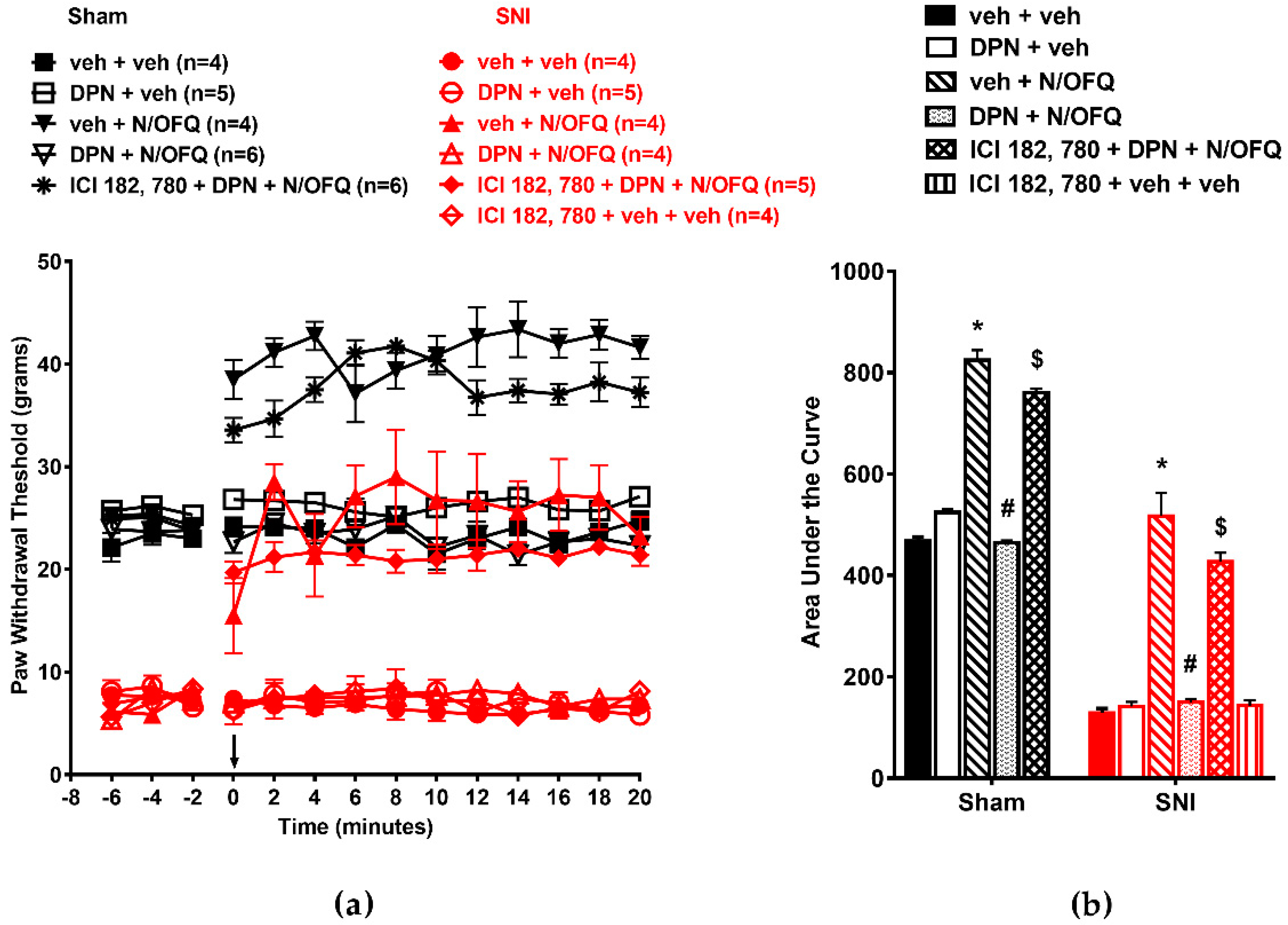 Brainsci 09 00147 g005 Brainsci 09 00147 g005