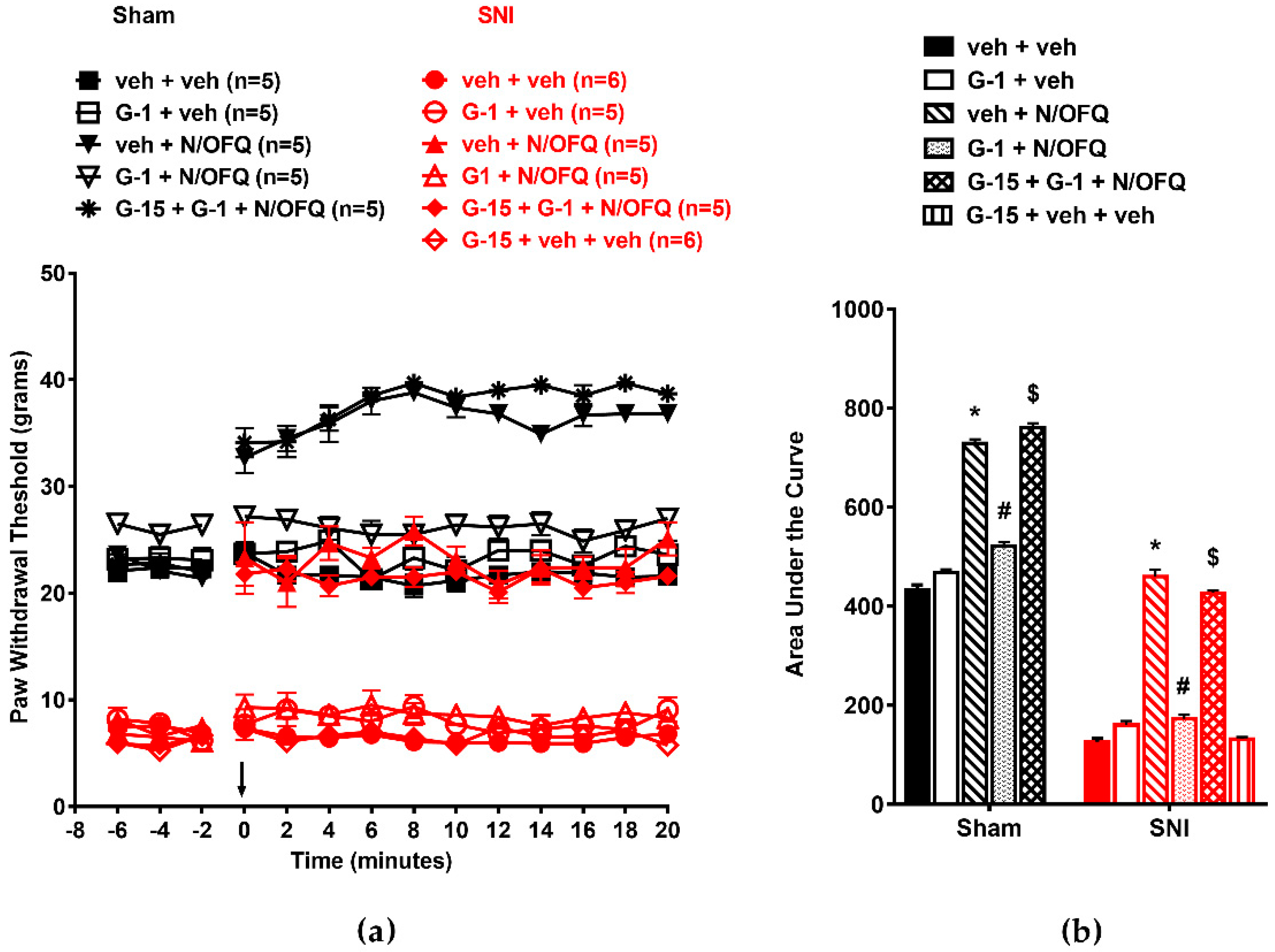 Brainsci 09 00147 g007 Brainsci 09 00147 g007