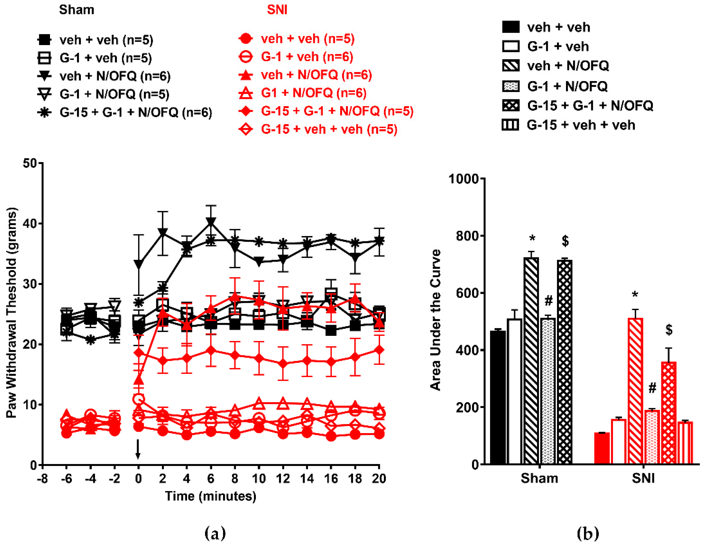 Brainsci 09 00147 g008 Brainsci 09 00147 g008