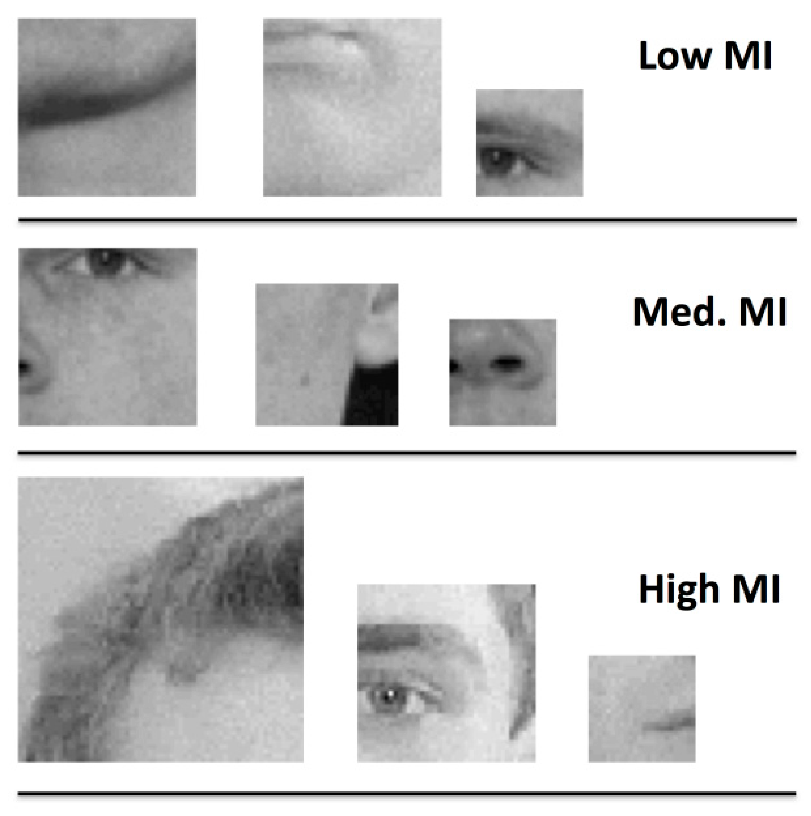 Brainsci 09 00154 g001