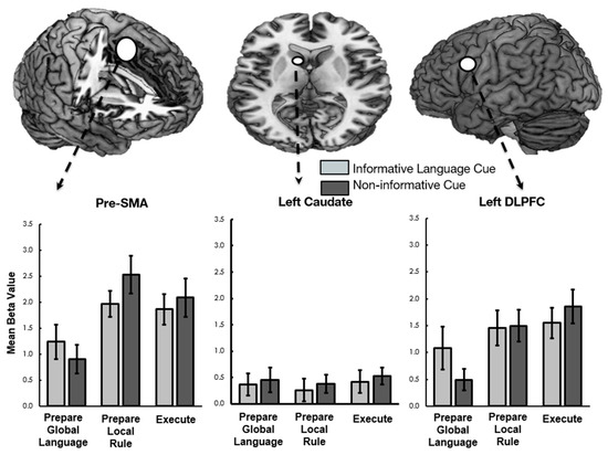 culturally response teaching and the brain culturally response teaching and the brain