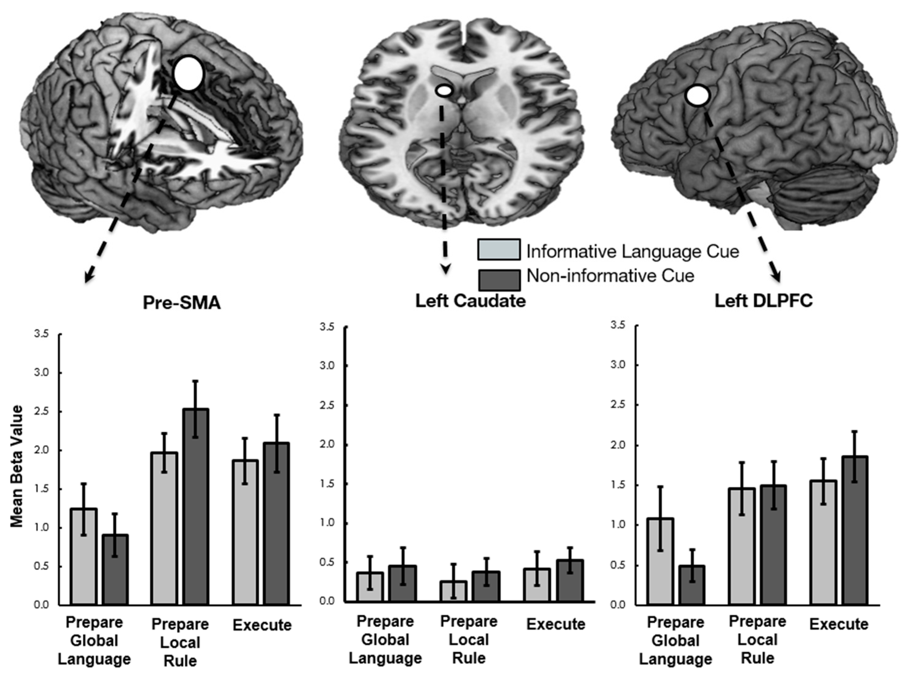 Brainsci 09 00161 g002