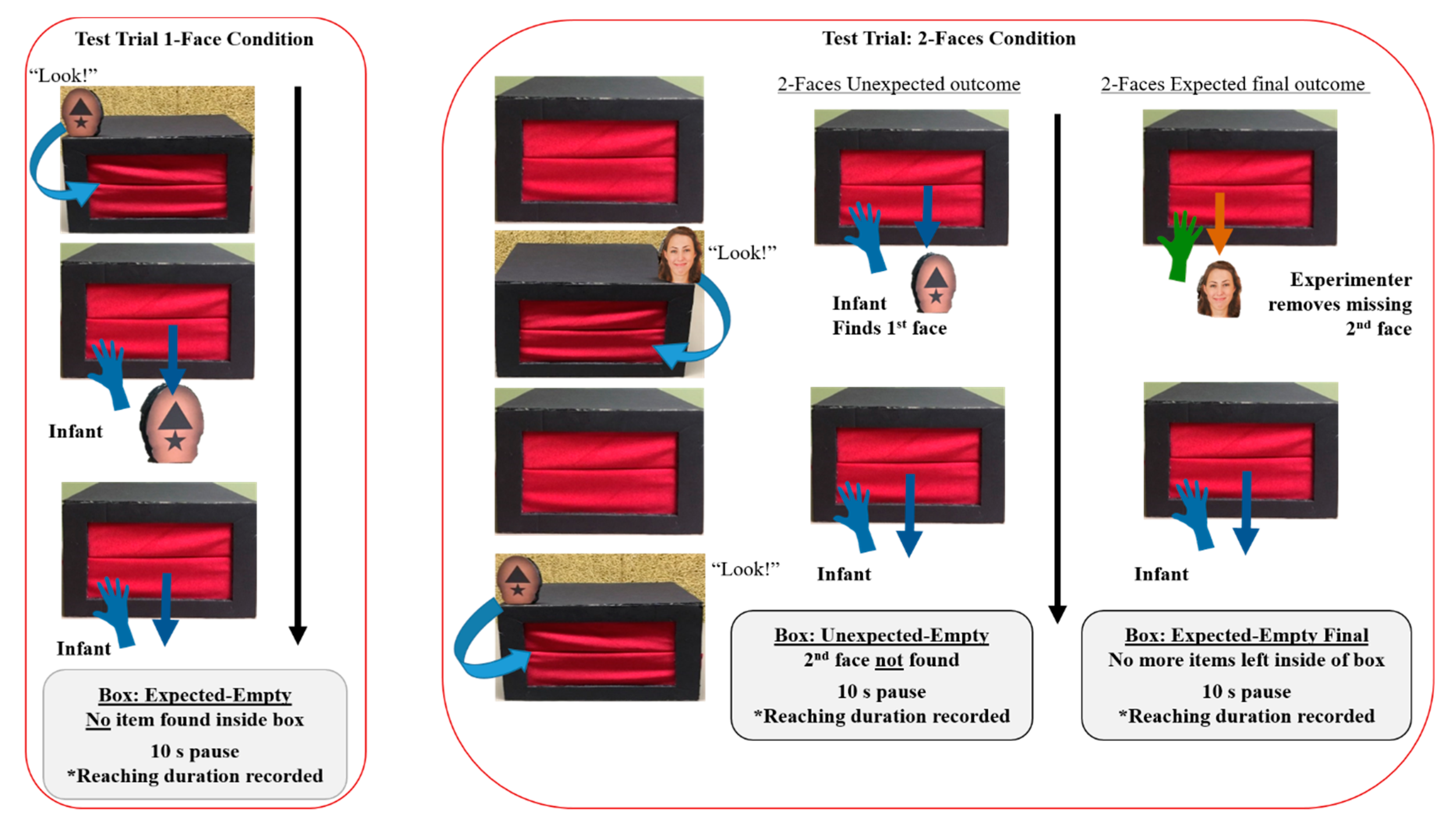 Brainsci 09 00163 g002 Brainsci 09 00163 g002