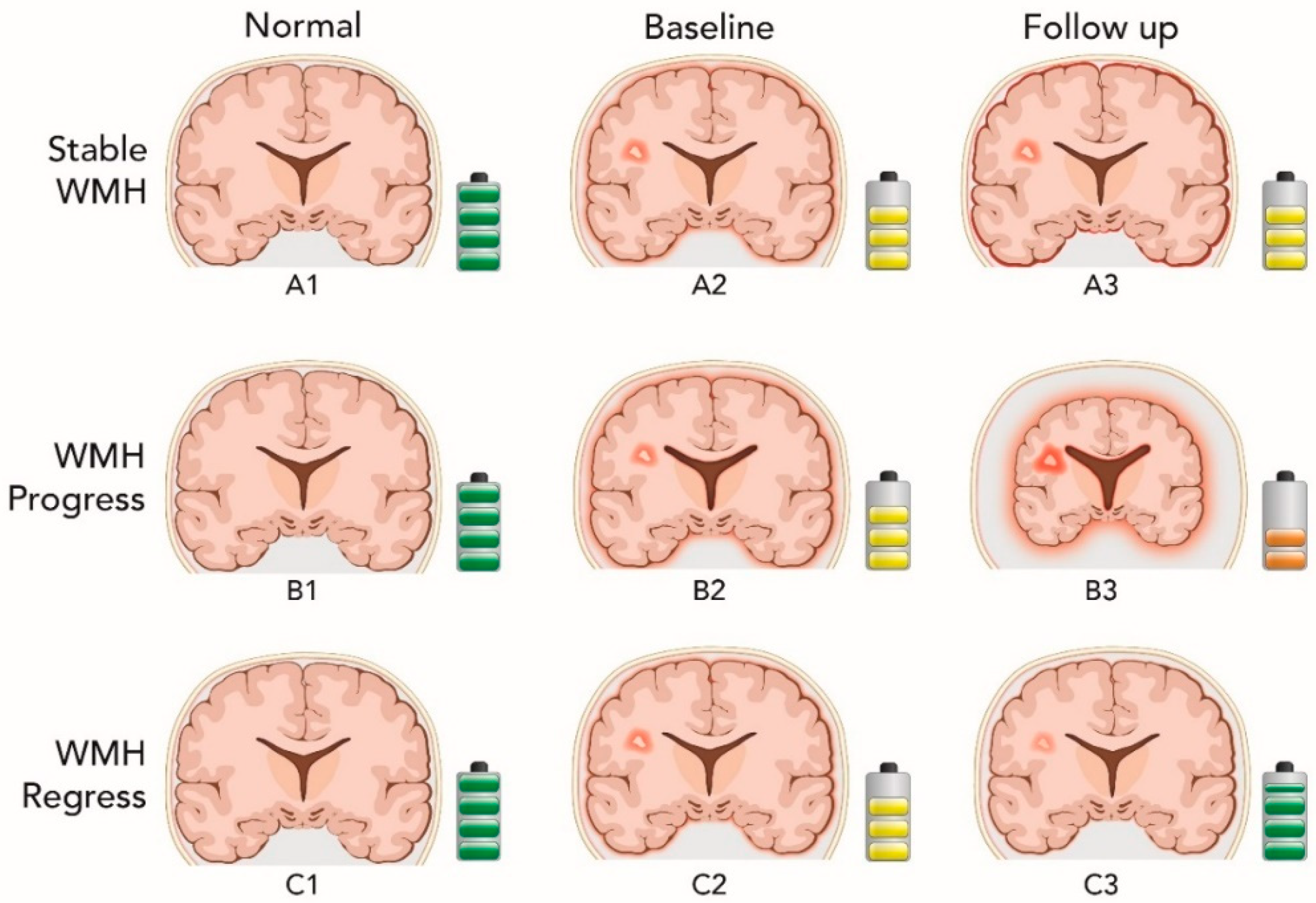 Brainsci 09 00170 g002