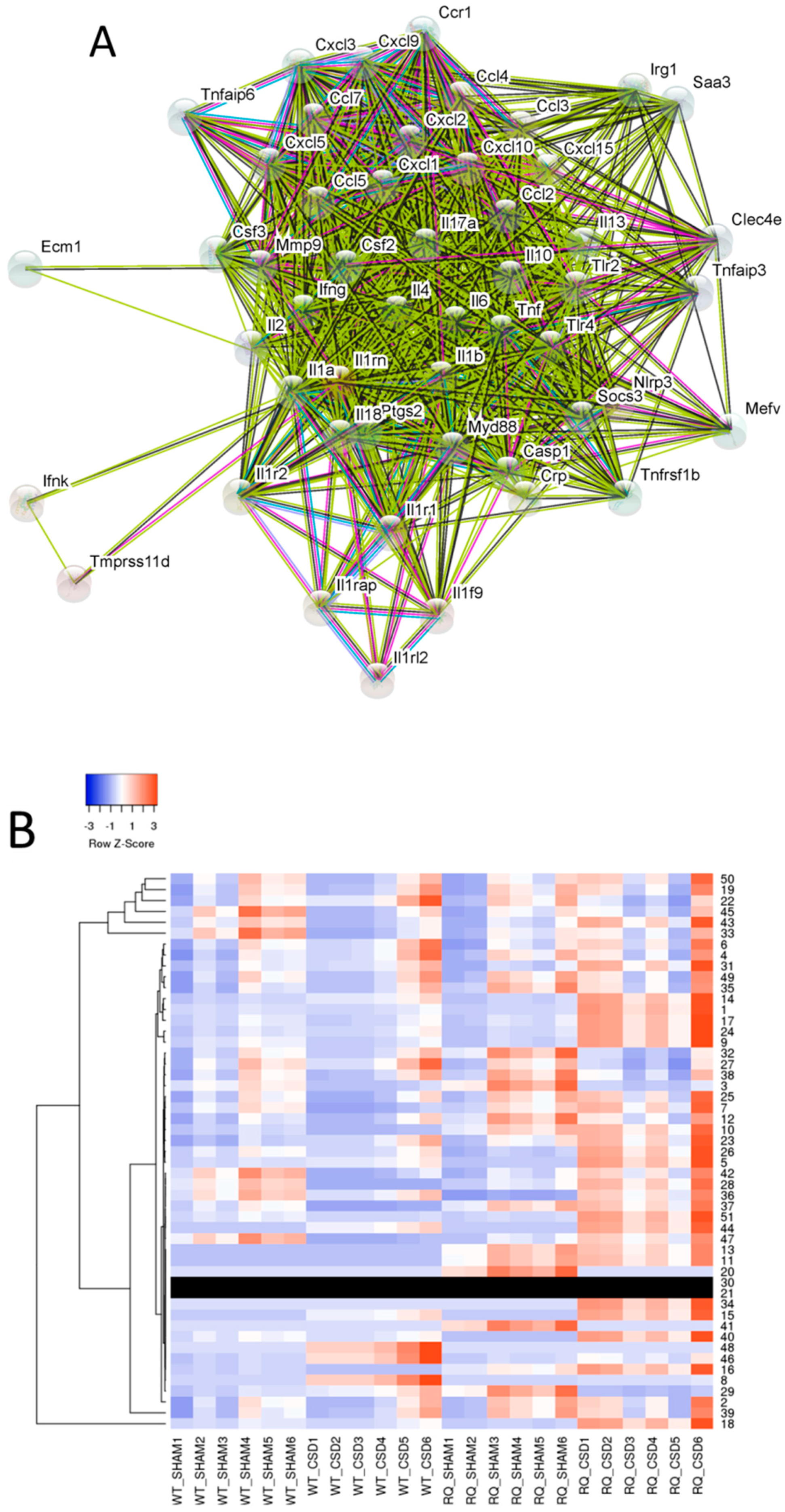 Brainsci 09 00172 g002