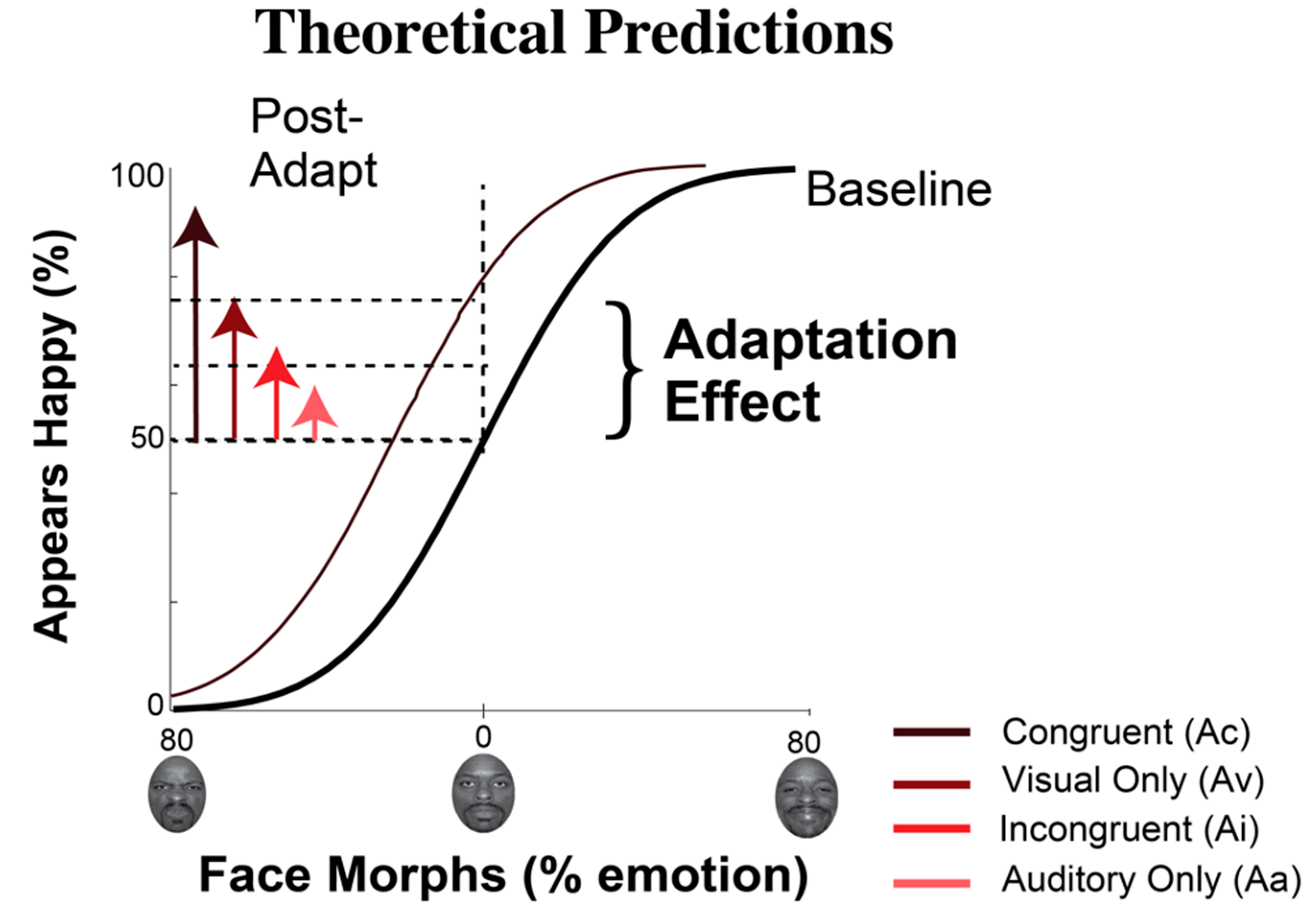 Brainsci 09 00176 g002
