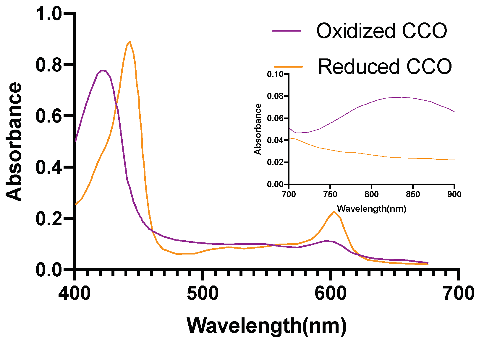 Brainsci 09 00179 g004 Brainsci 09 00179 g004