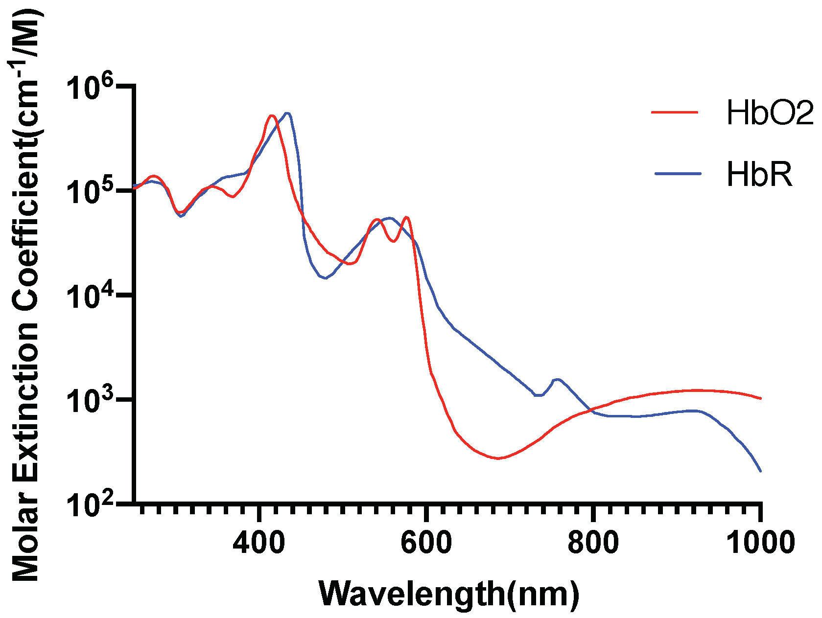 Brainsci 09 00179 g005 Brainsci 09 00179 g005