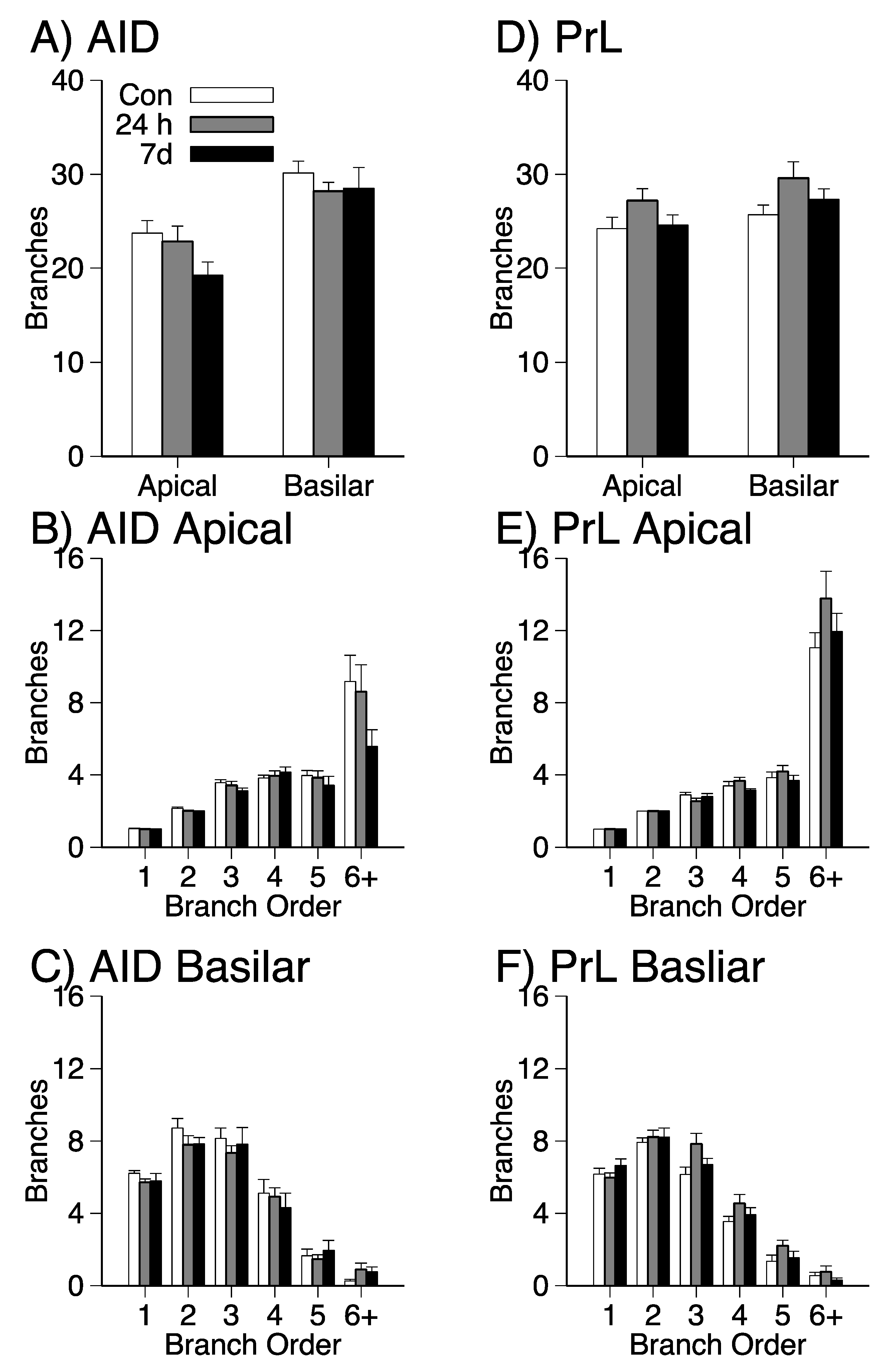 Brainsci 09 00180 g005