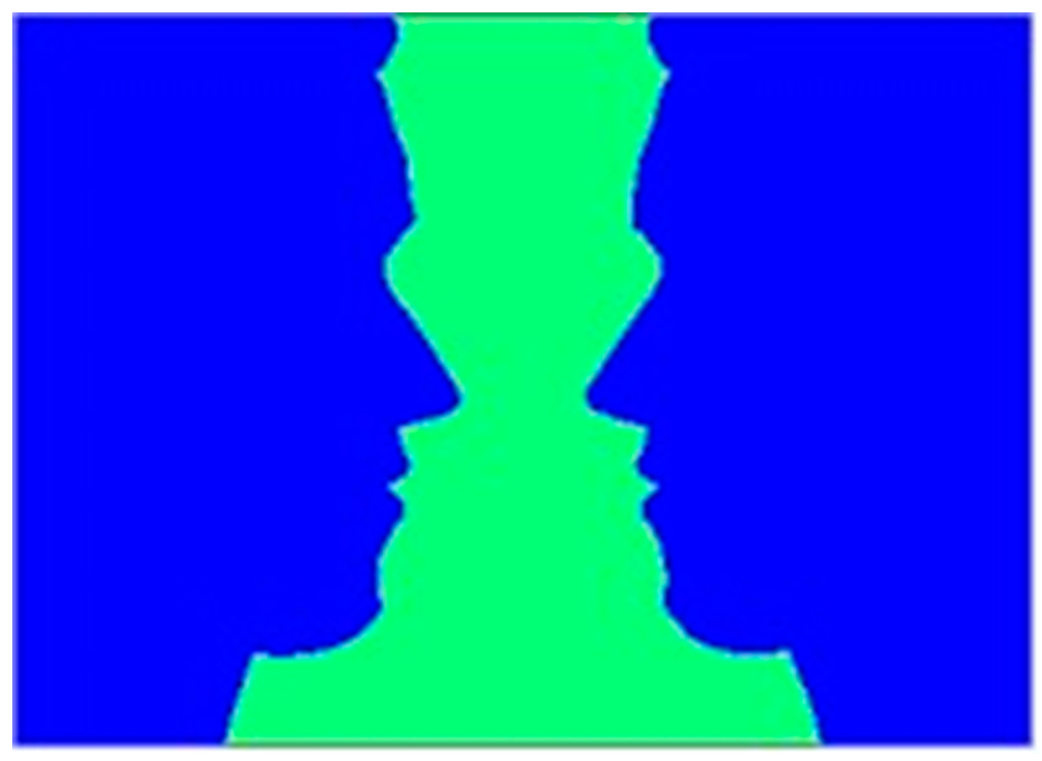 Brainsci 09 00186 g001