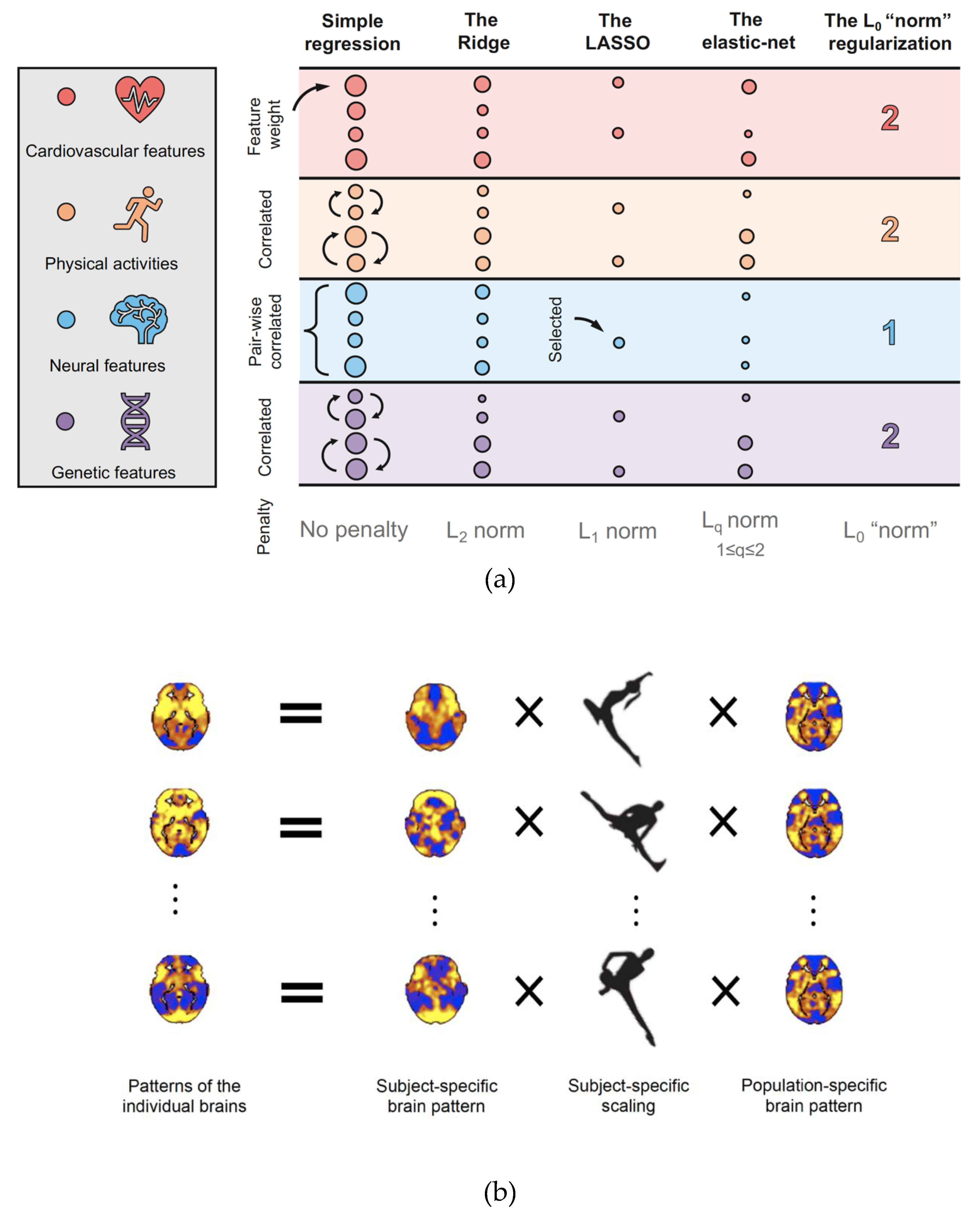 Brainsci 09 00194 g003 Brainsci 09 00194 g003