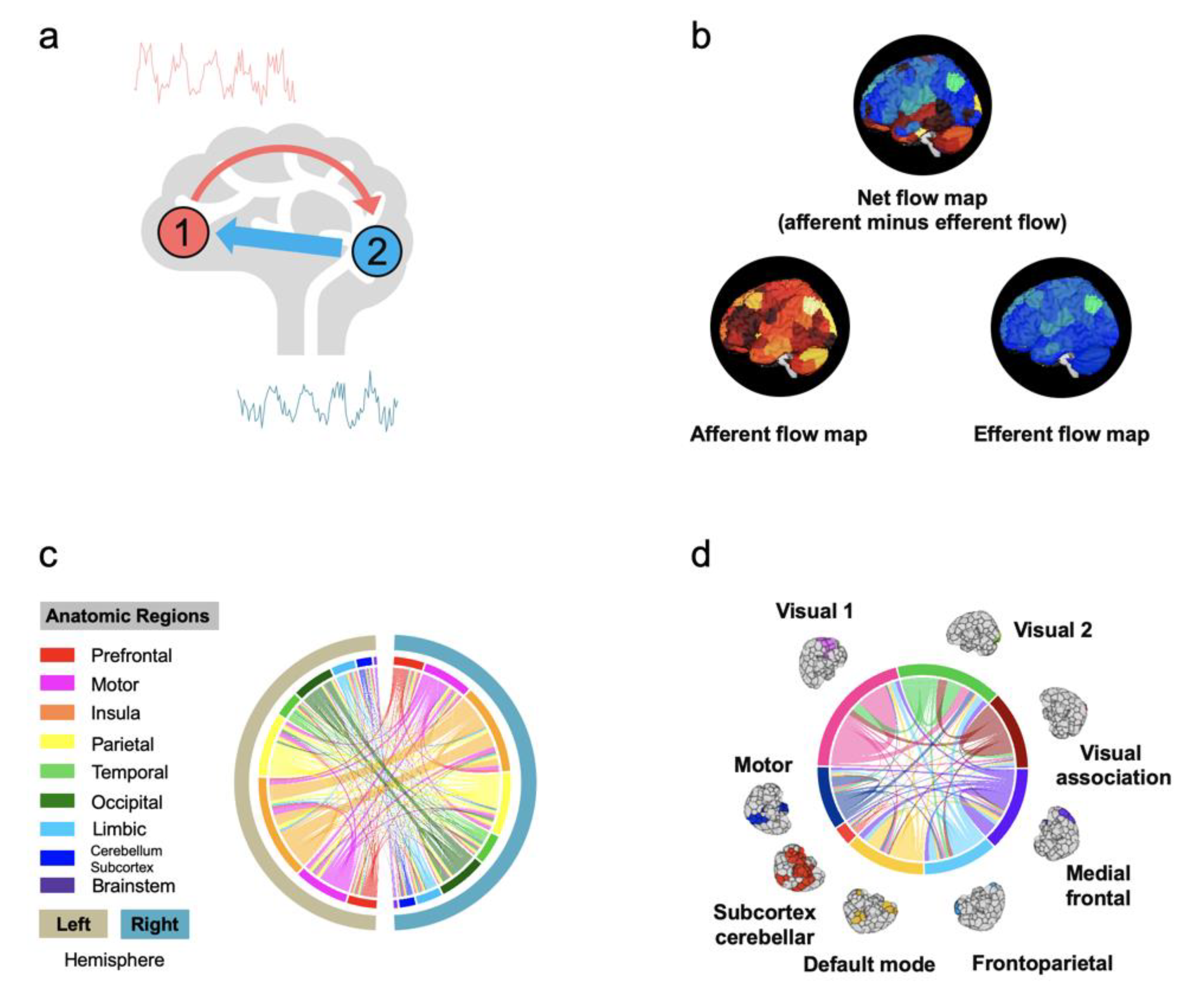 ihbm 2018 human brain mapping ihbm 2018 human brain mapping