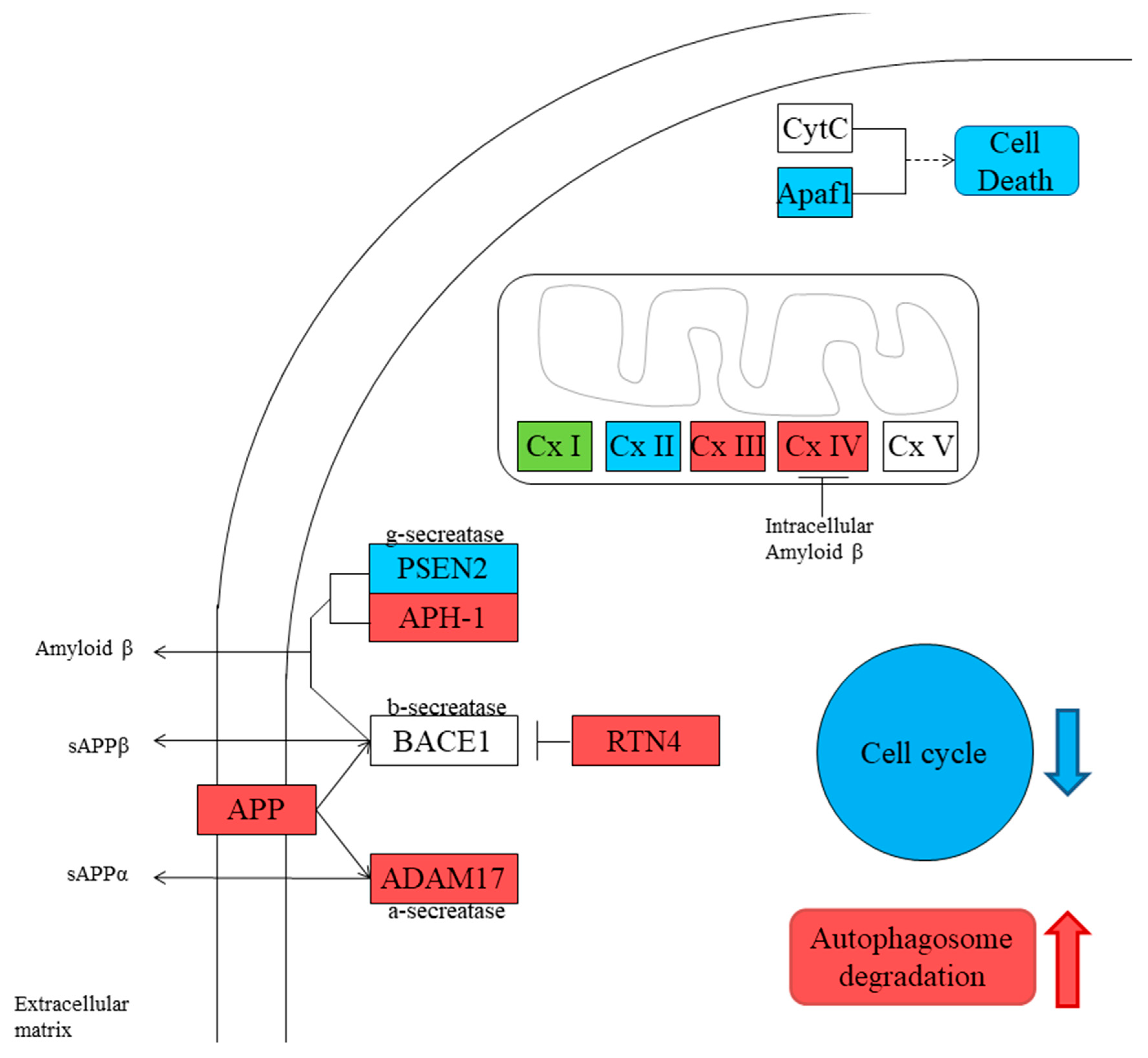Brainsci 09 00196 g002