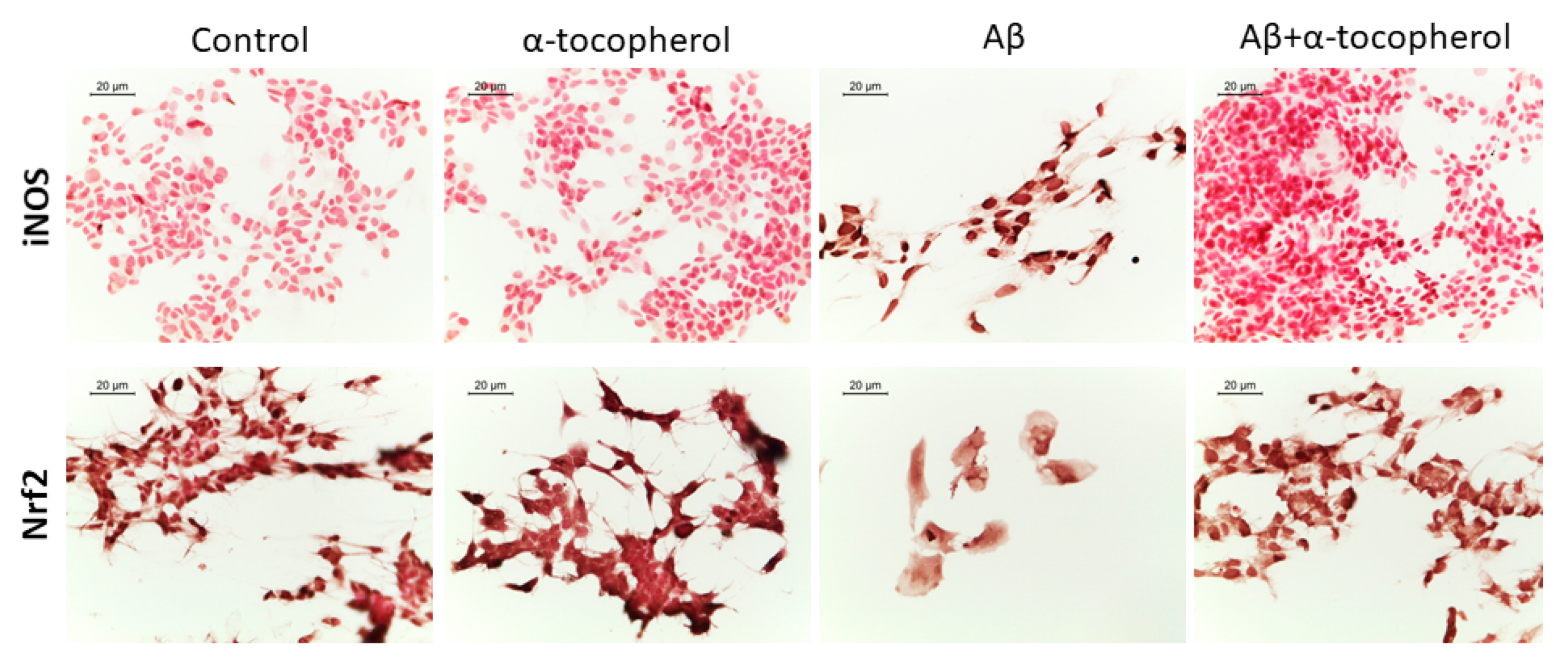 Brainsci 09 00196 g004