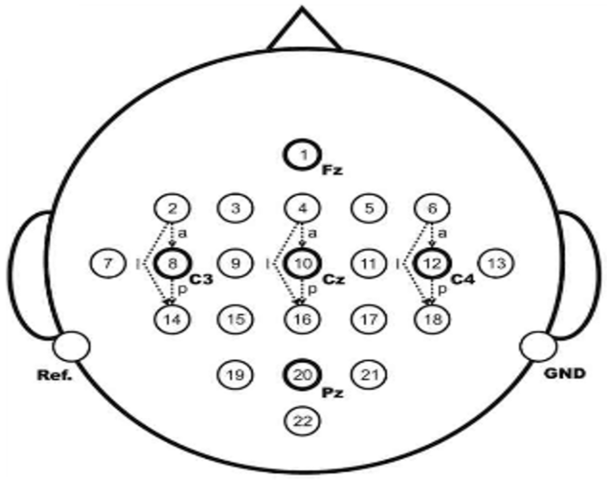 Brainsci 09 00201 g003