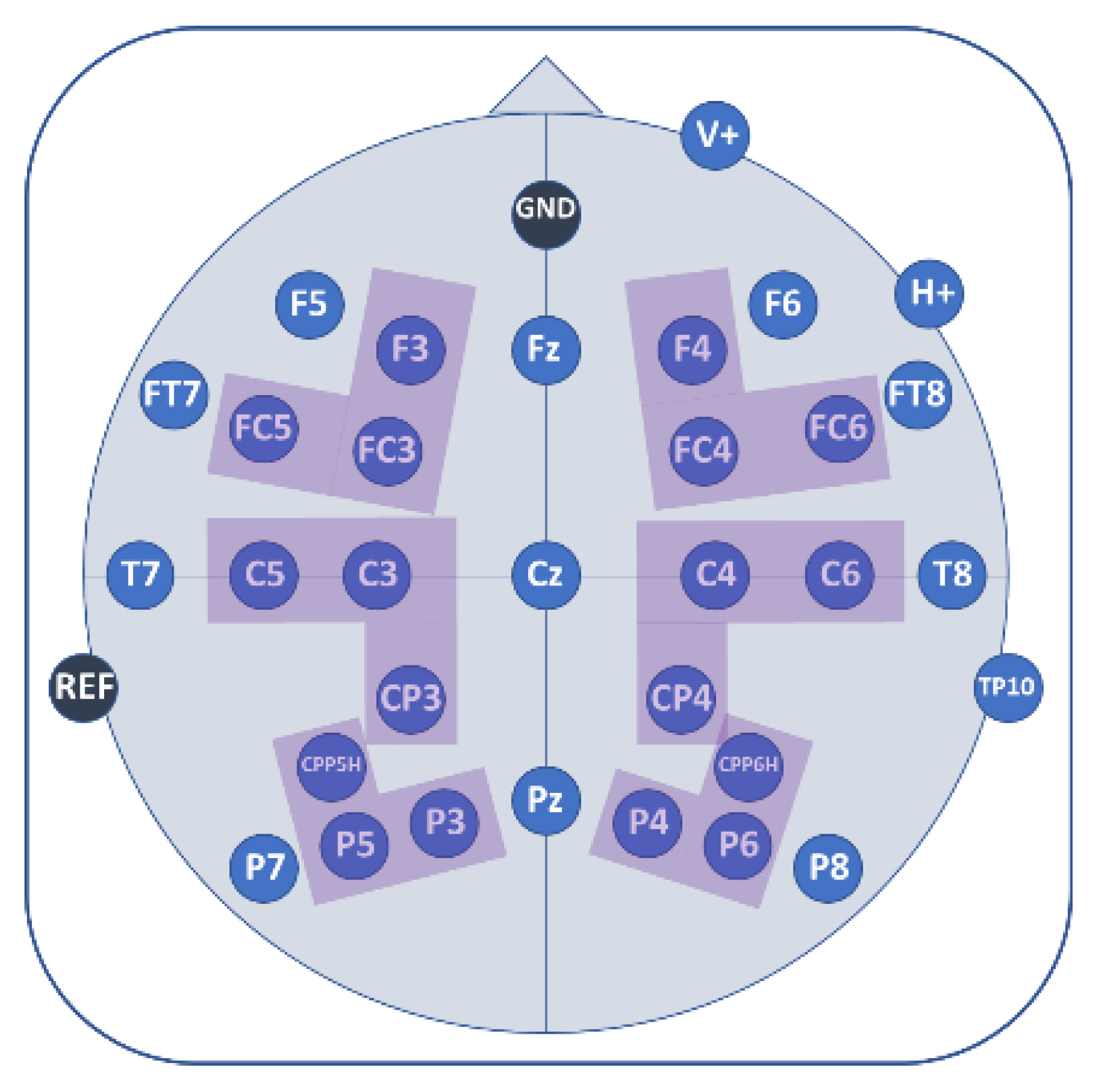 Brainsci 09 00206 g005