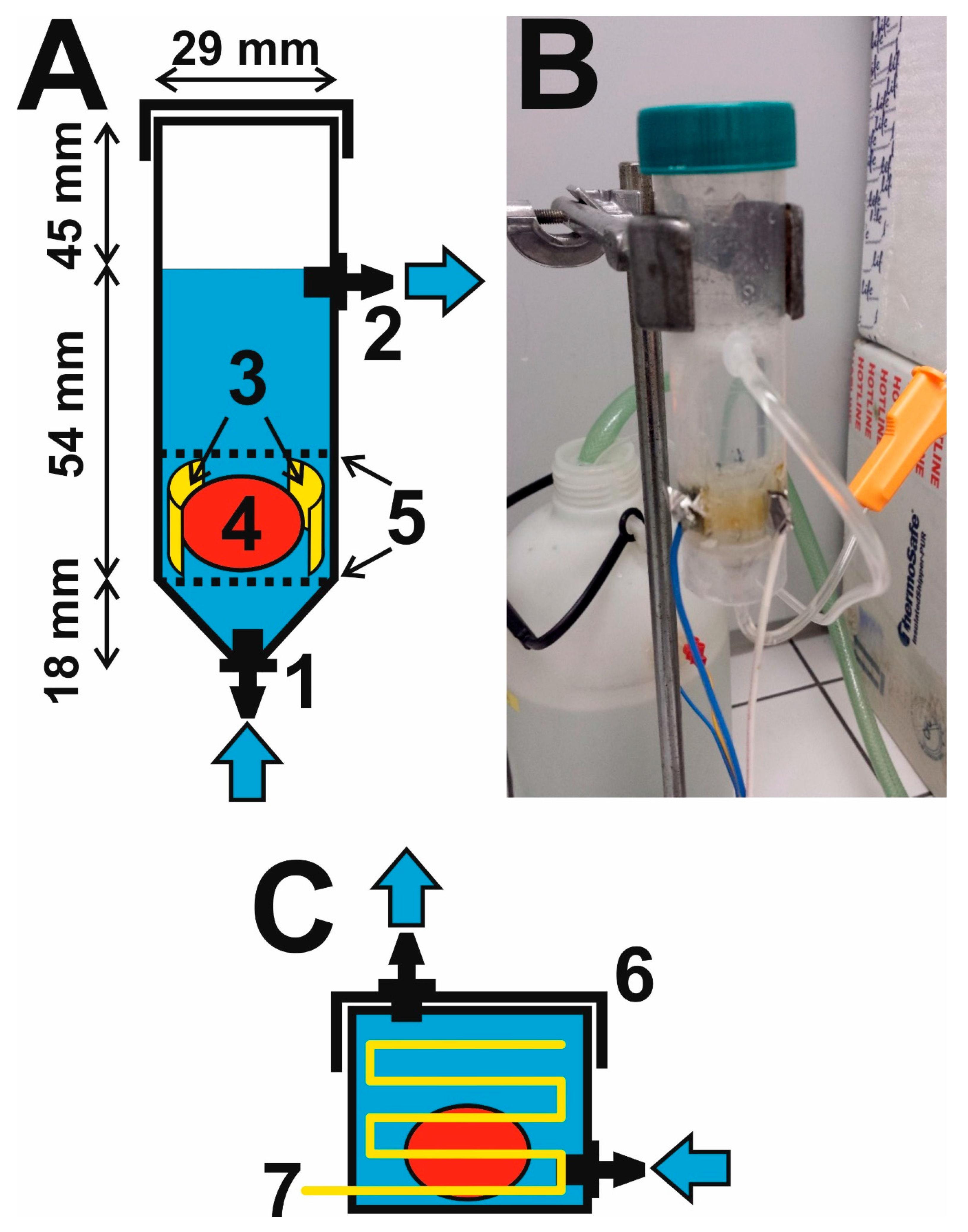 Brainsci 09 00218 g001