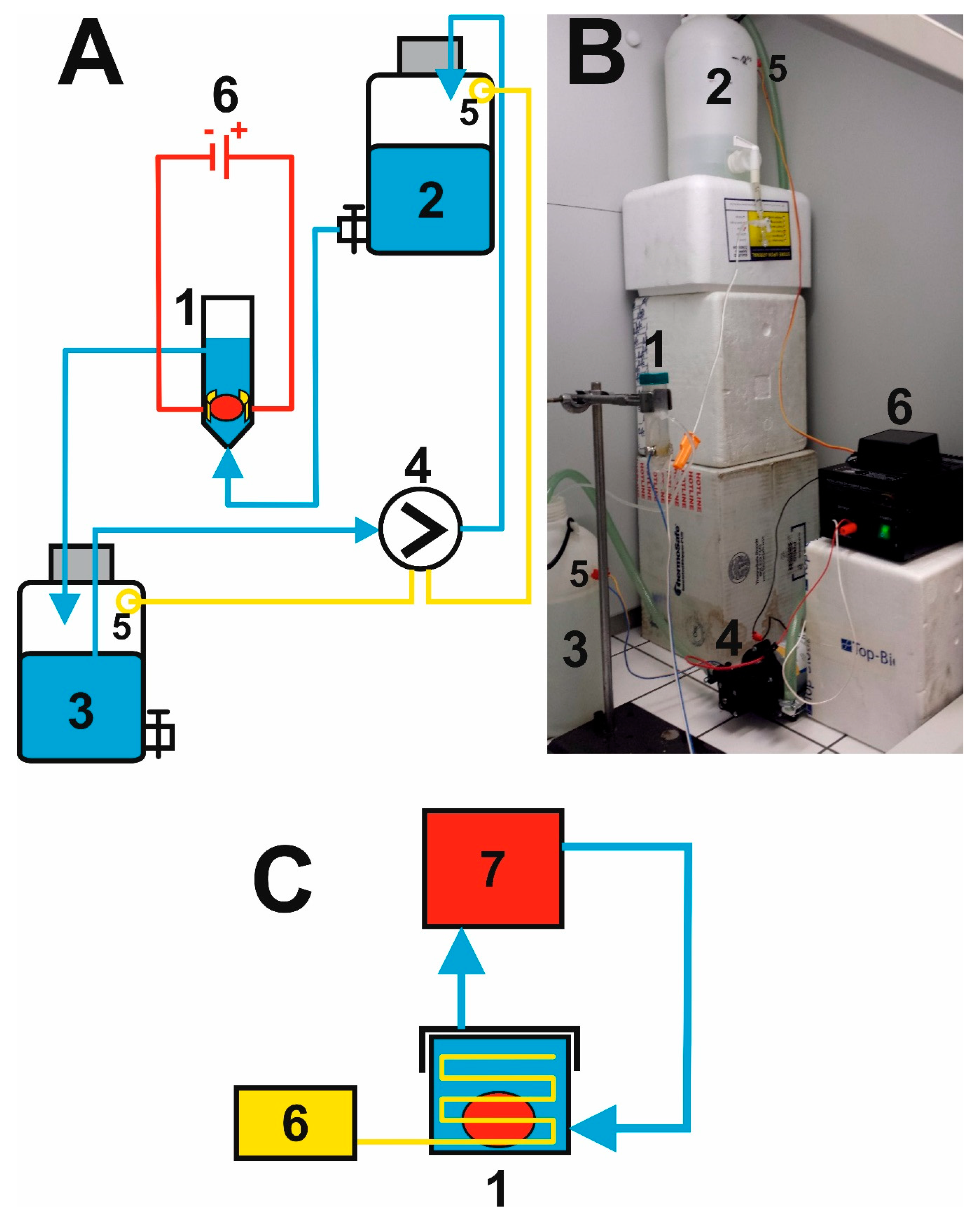 Brainsci 09 00218 g003