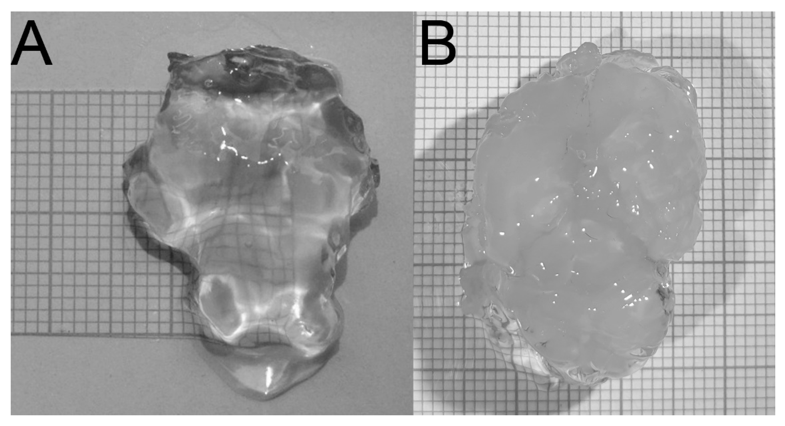 Brainsci 09 00218 g004
