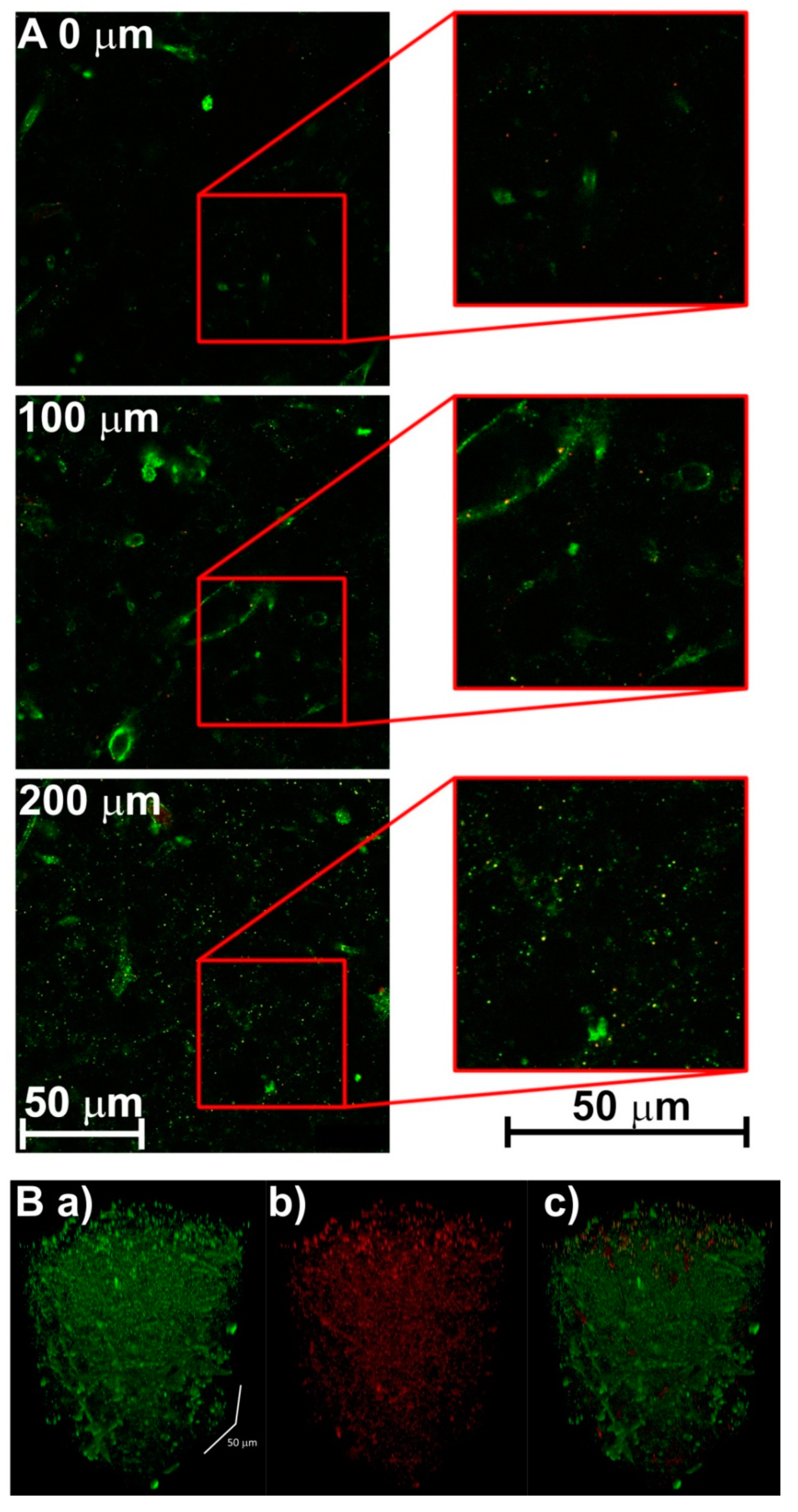 Brainsci 09 00218 g006