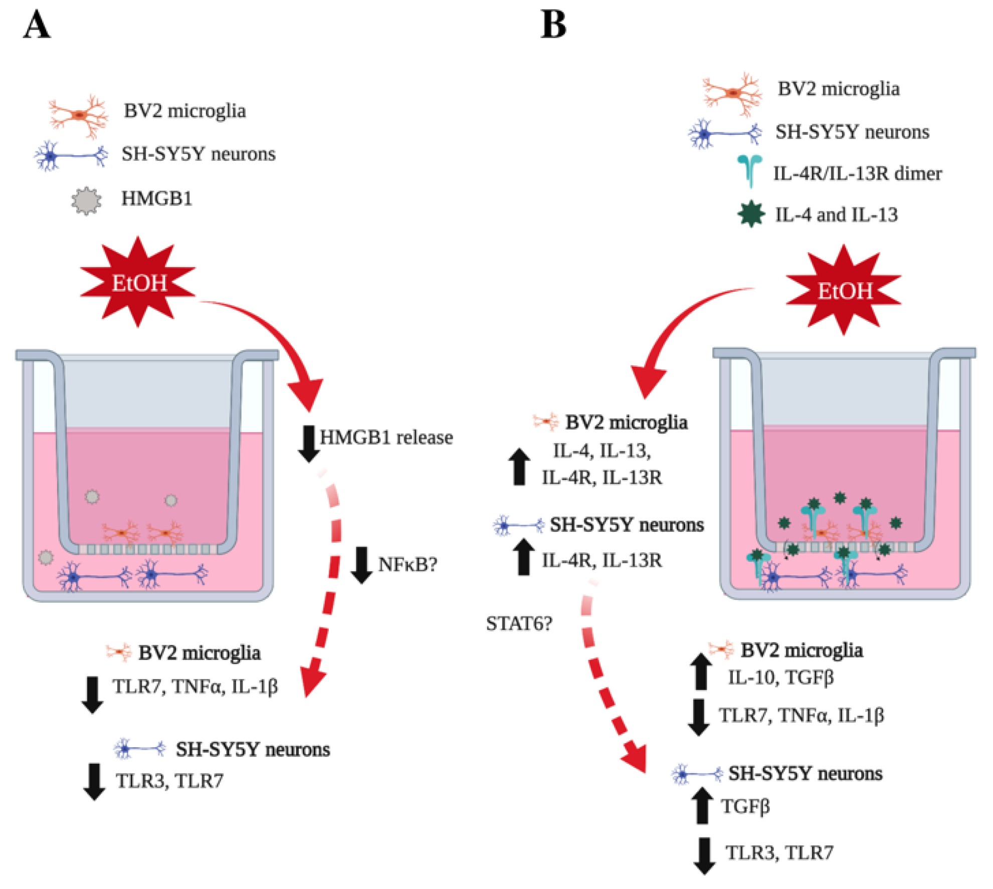 Brainsci 09 00228 g009