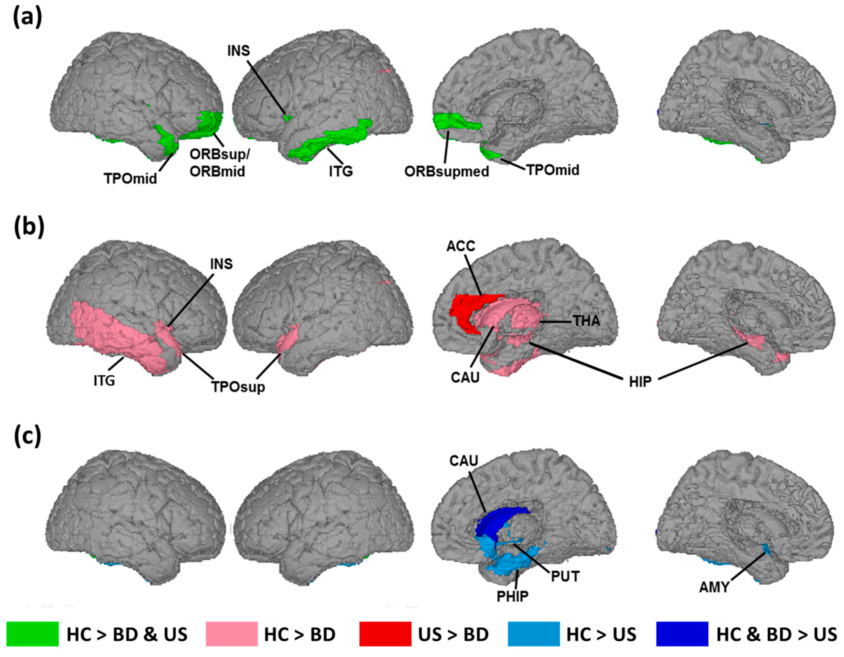 Brainsci 09 00240 g002
