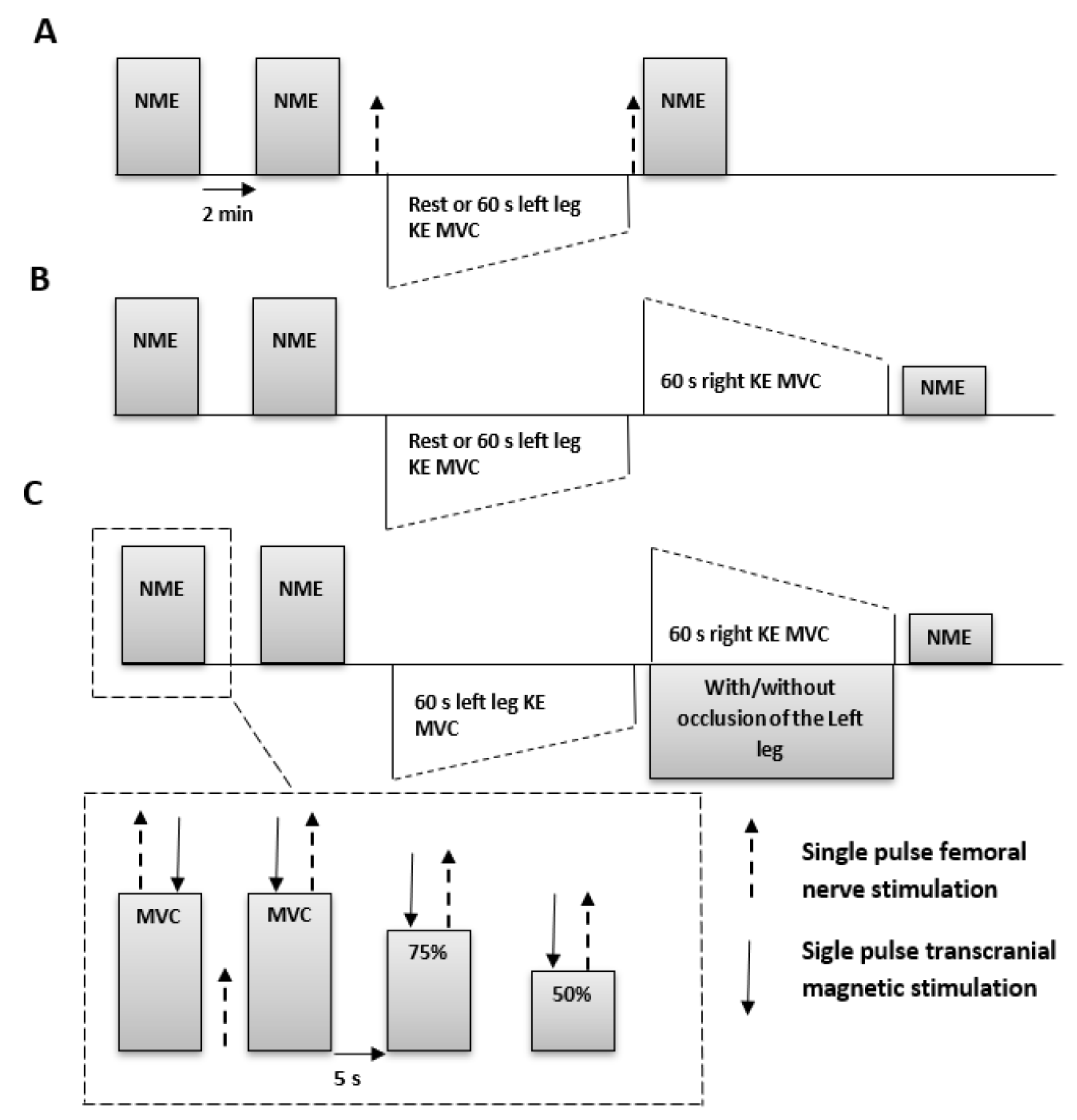 Brainsci 09 00250 g001 Brainsci 09 00250 g001