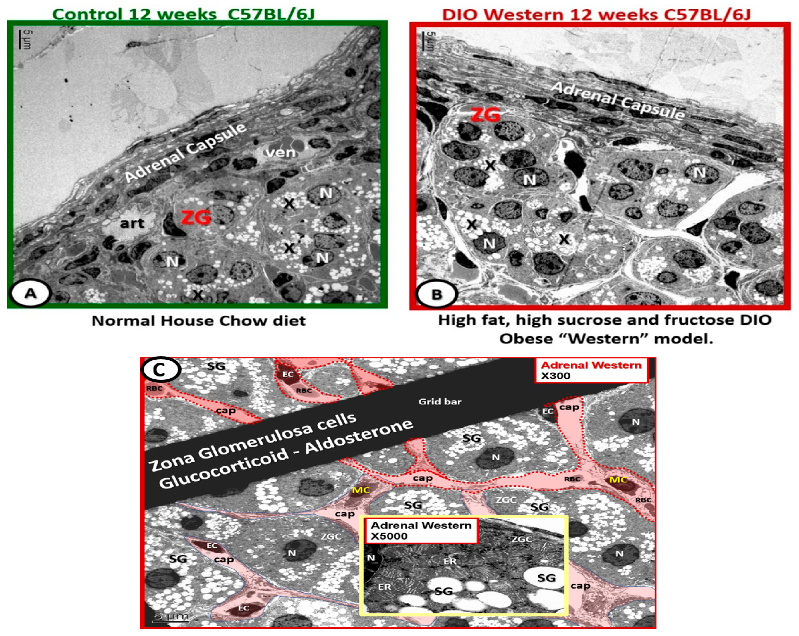 Brainsci 09 00262 g003