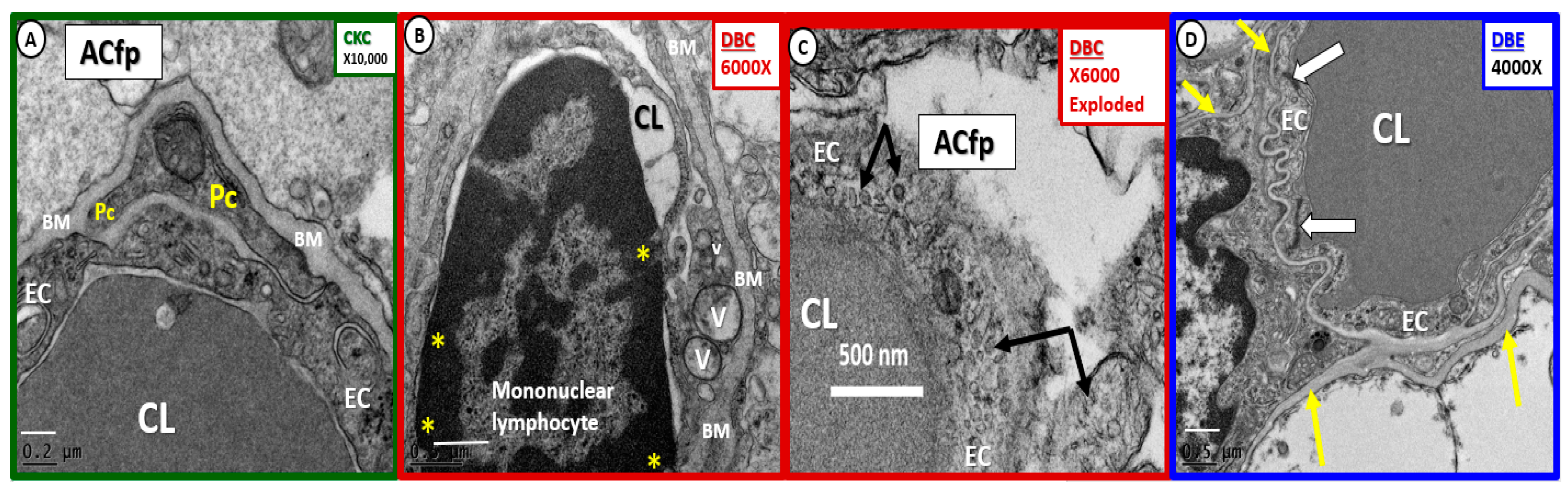 Brainsci 09 00262 g007