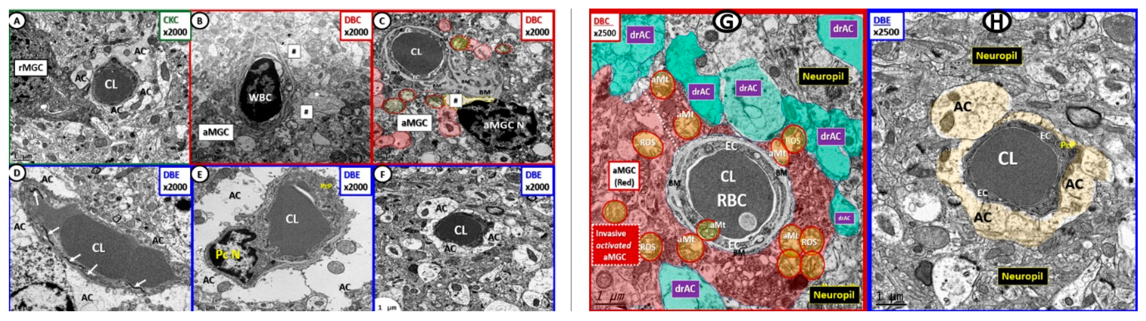 Brainsci 09 00262 g011