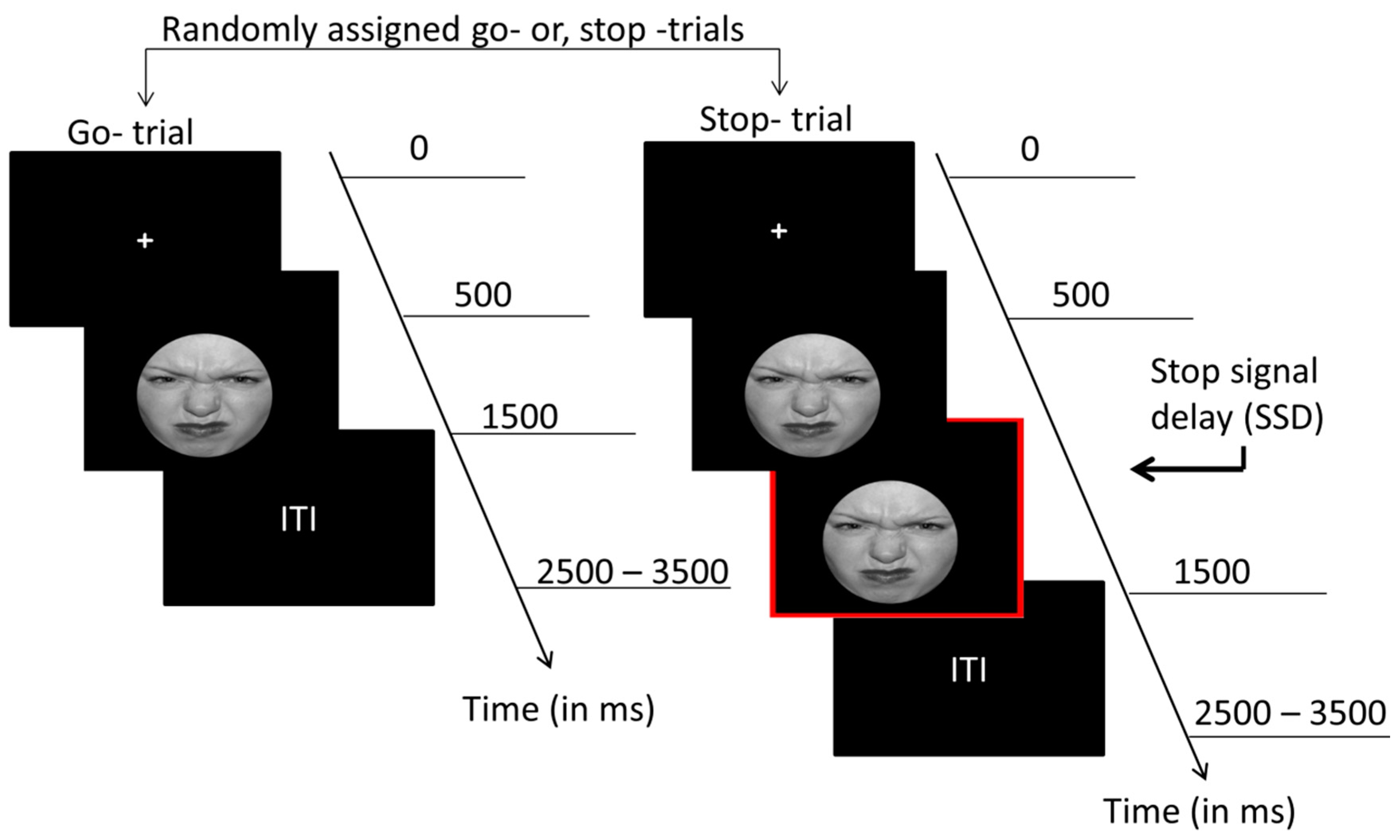 Brainsci 09 00271 g001 Brainsci 09 00271 g001