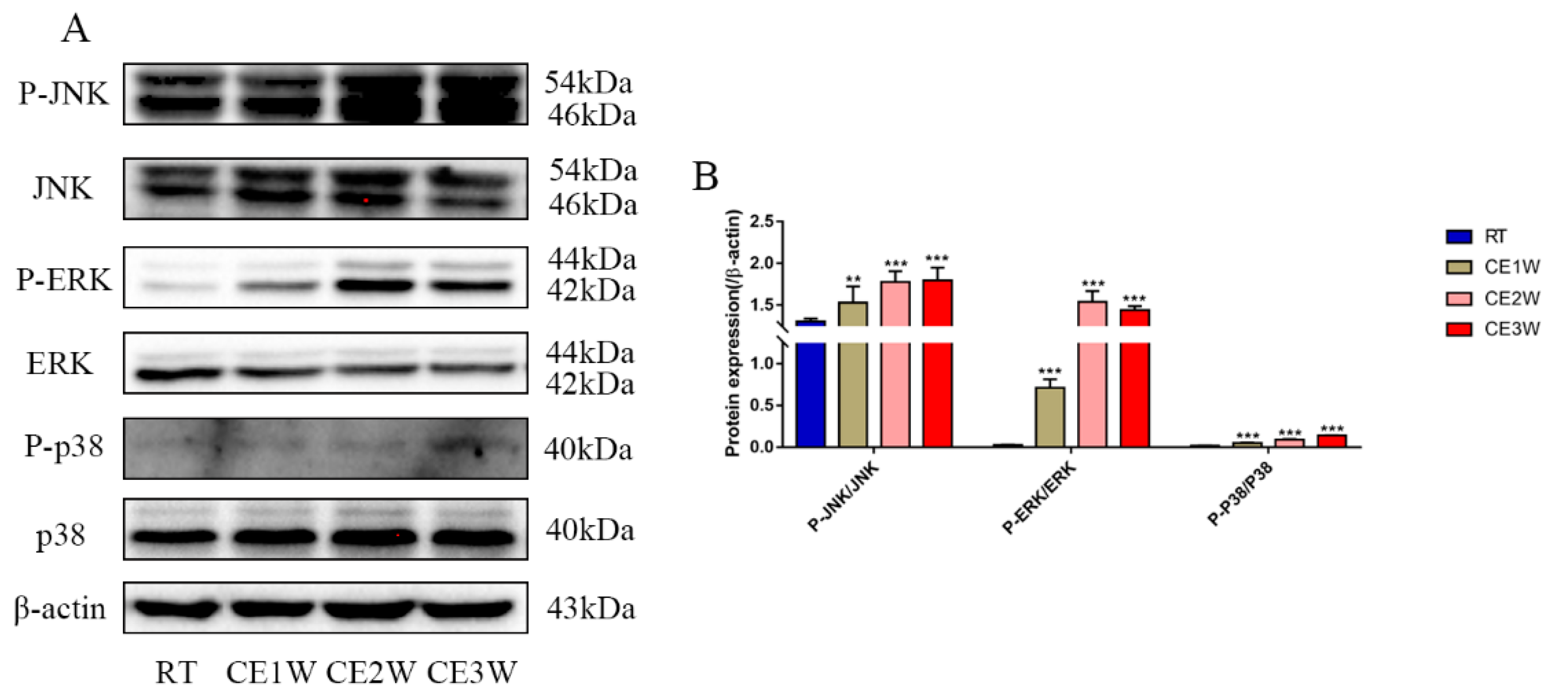 Brainsci 09 00273 g006 Brainsci 09 00273 g006