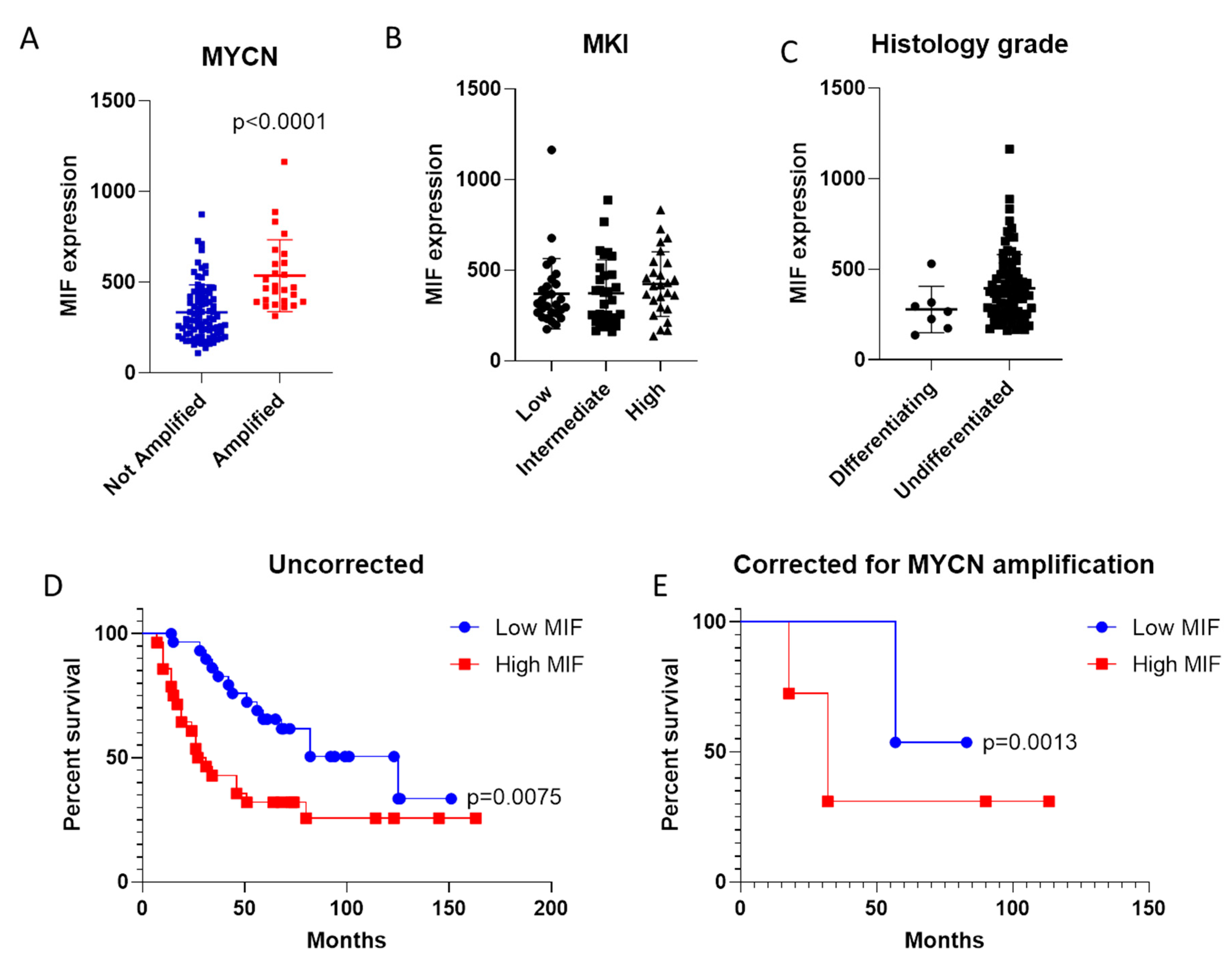 Brainsci 09 00284 g001 Brainsci 09 00284 g001