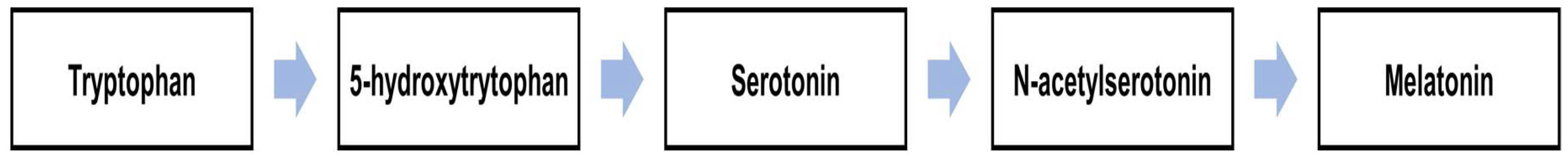 Brainsci 09 00285 g002 Brainsci 09 00285 g002