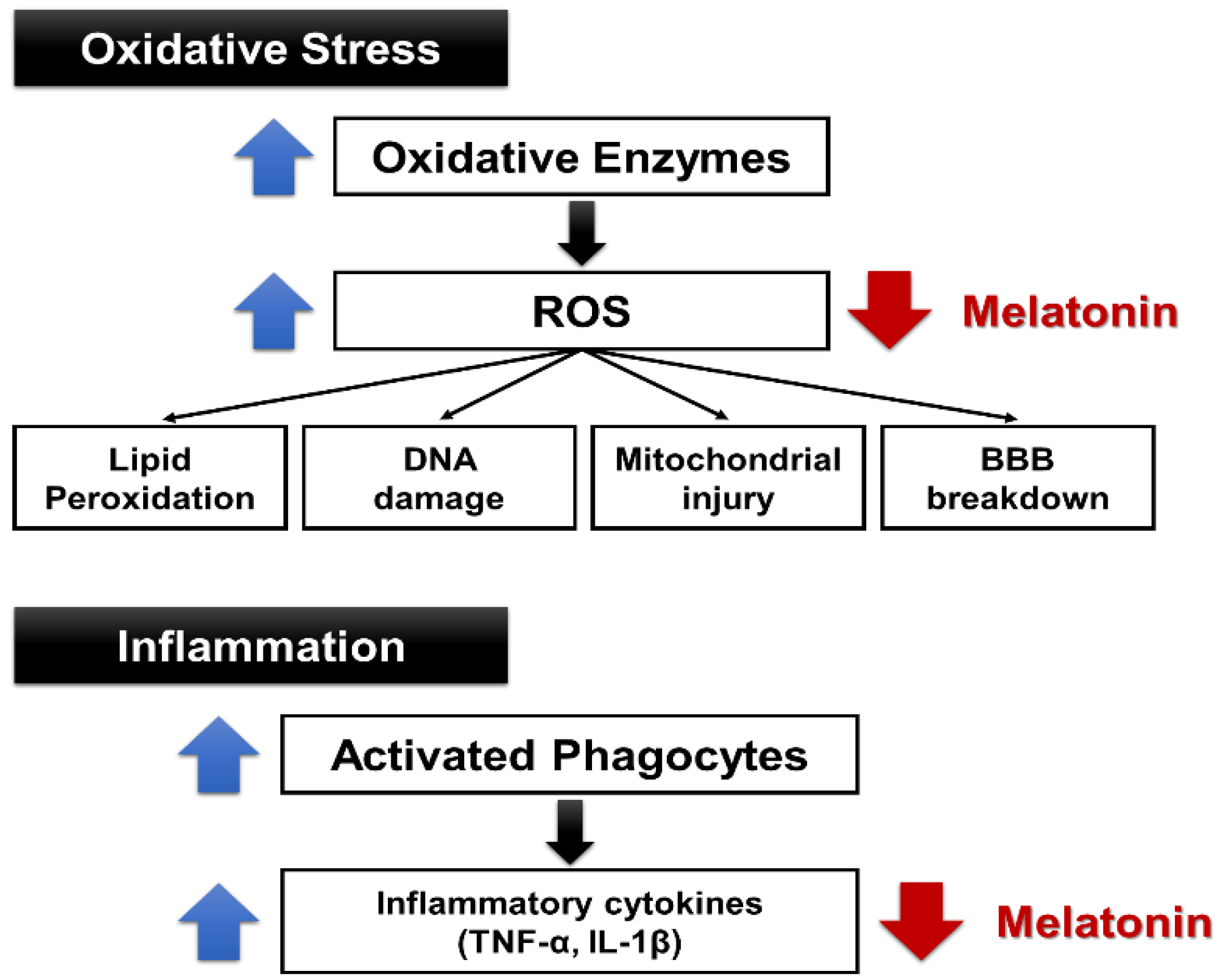 Brainsci 09 00285 g003 Brainsci 09 00285 g003
