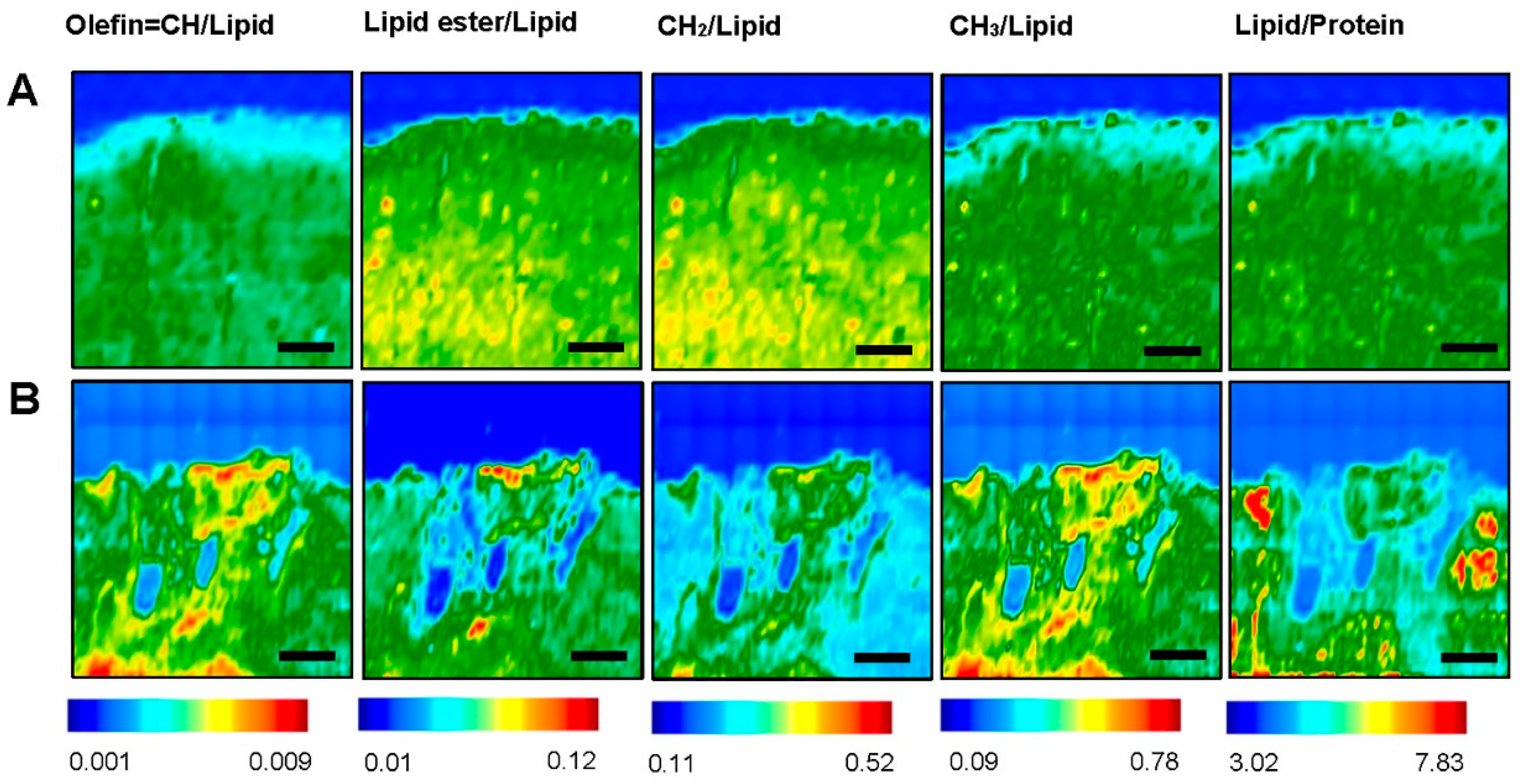 Brainsci 09 00293 g003
