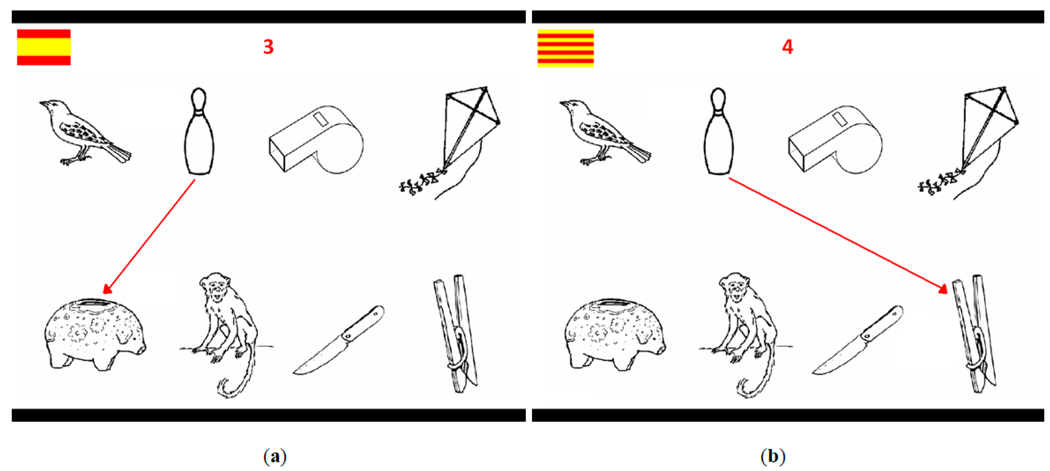 Brainsci 09 00294 g001