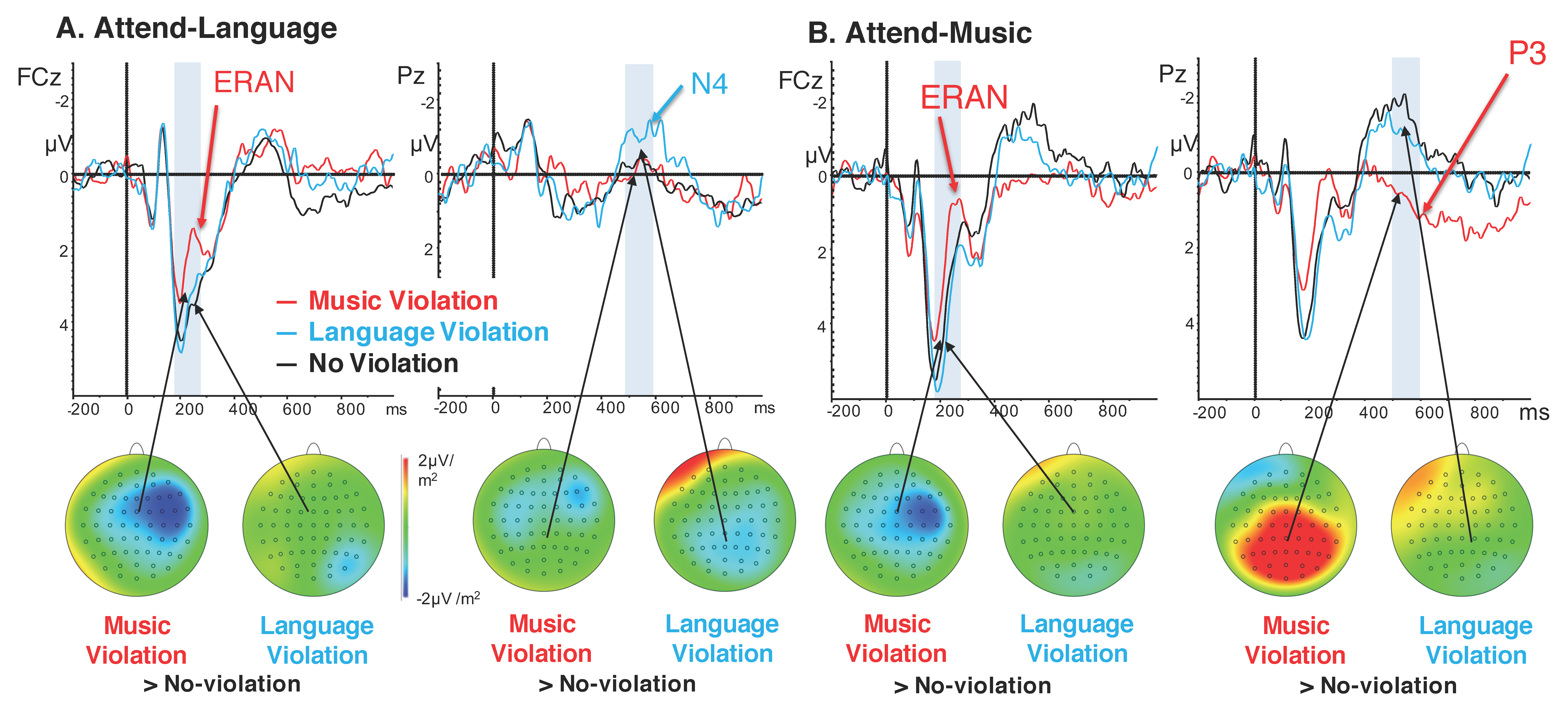 Brainsci 09 00305 g002 Brainsci 09 00305 g002