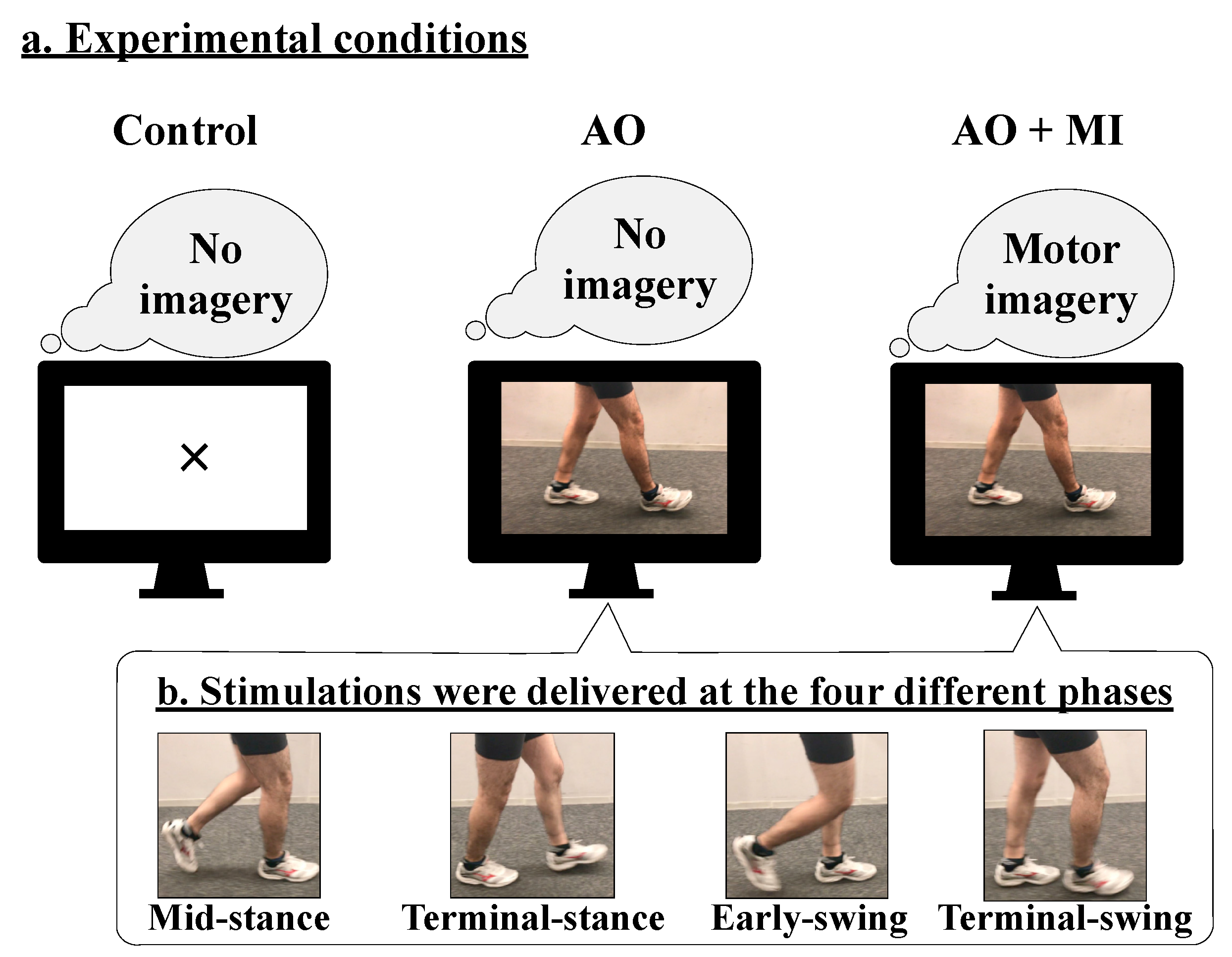 Brainsci 09 00333 g001 550