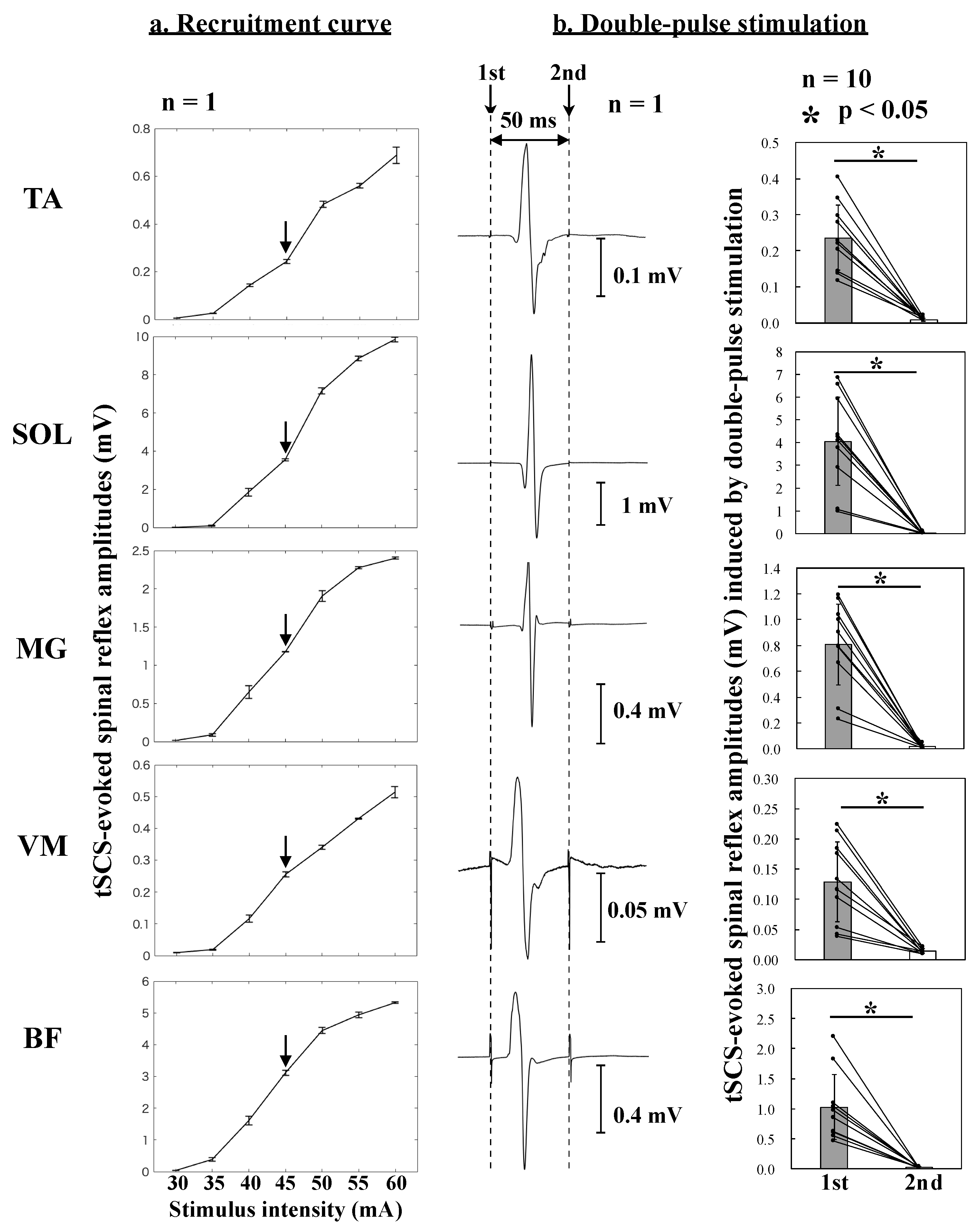 Brainsci 09 00333 g002 550