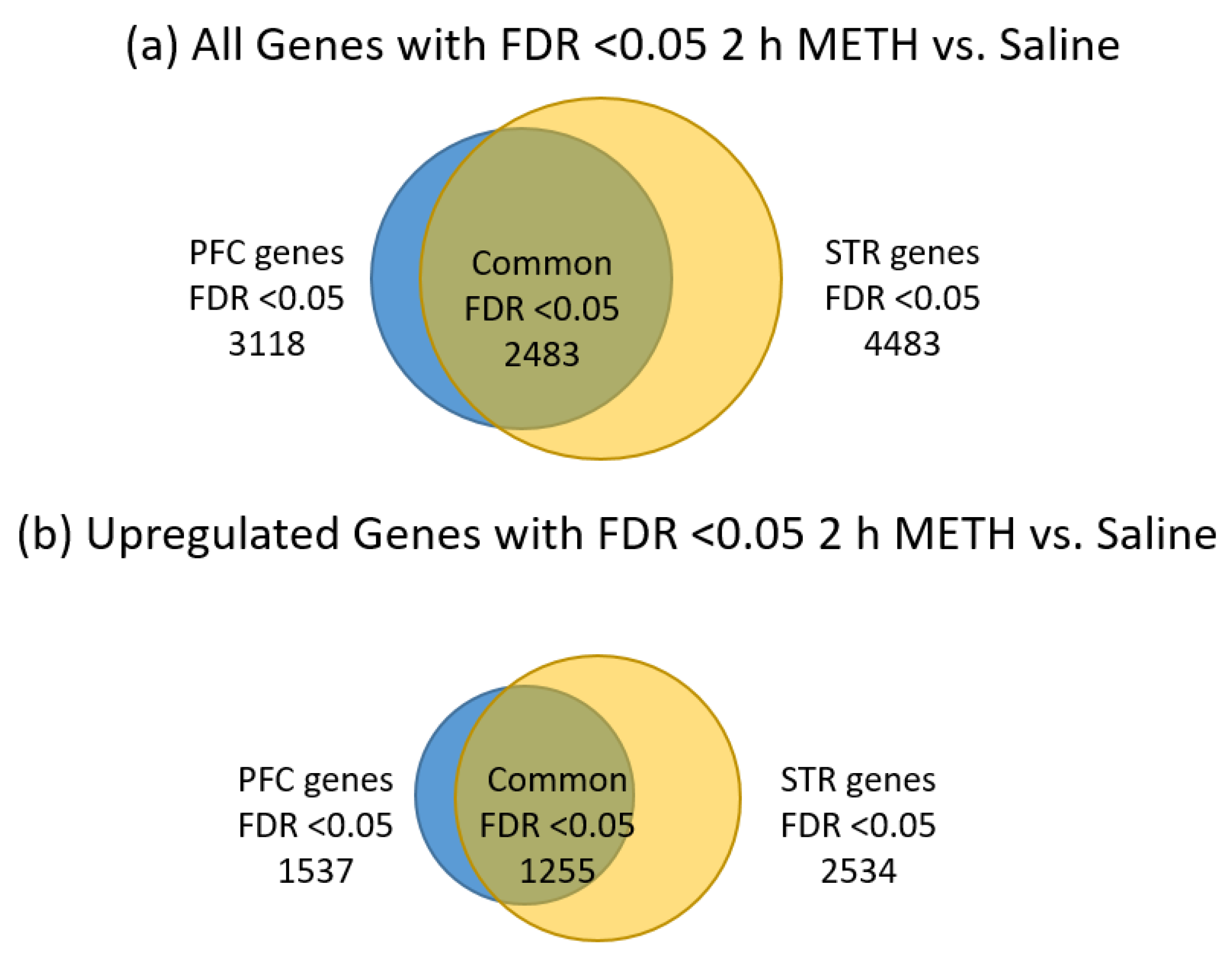 Brainsci 09 00340 g002a