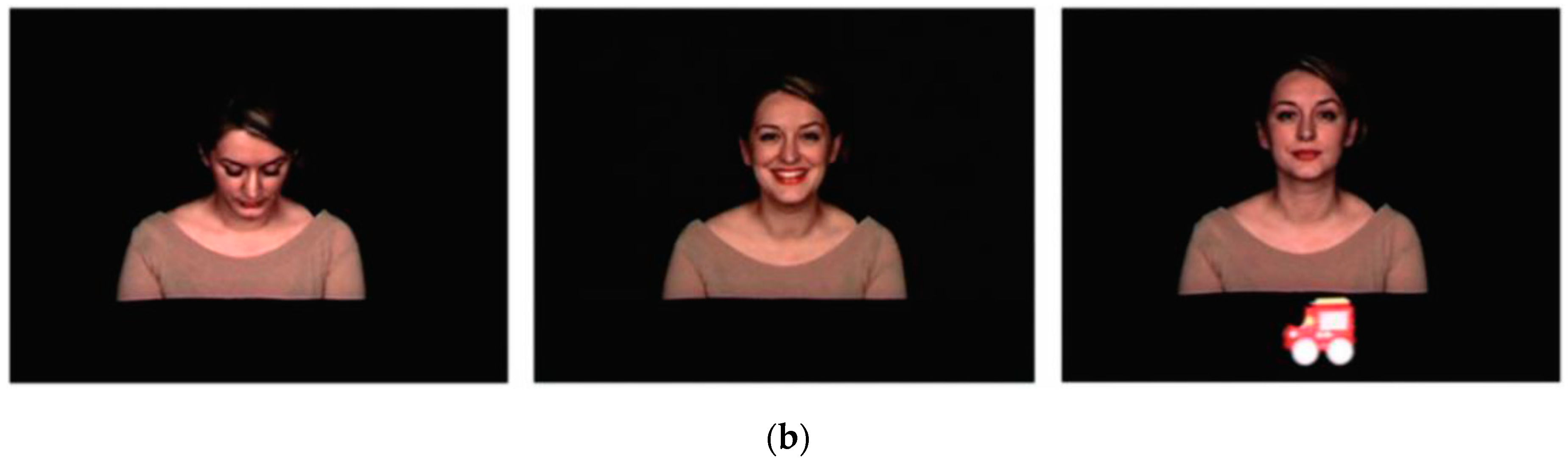 Brainsci 09 00344 g001b Brainsci 09 00344 g001b